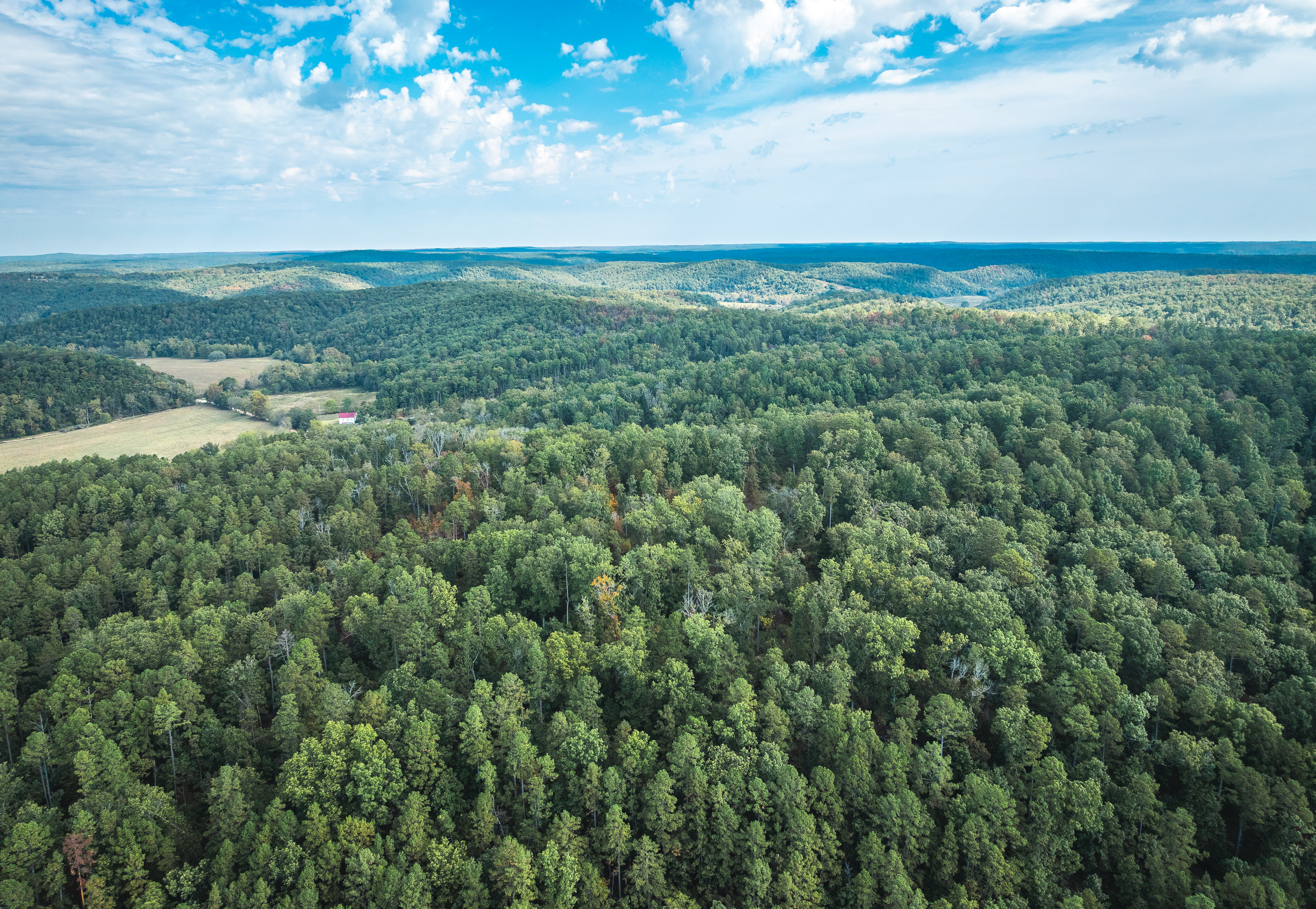 Ashley Creek Ranch 329