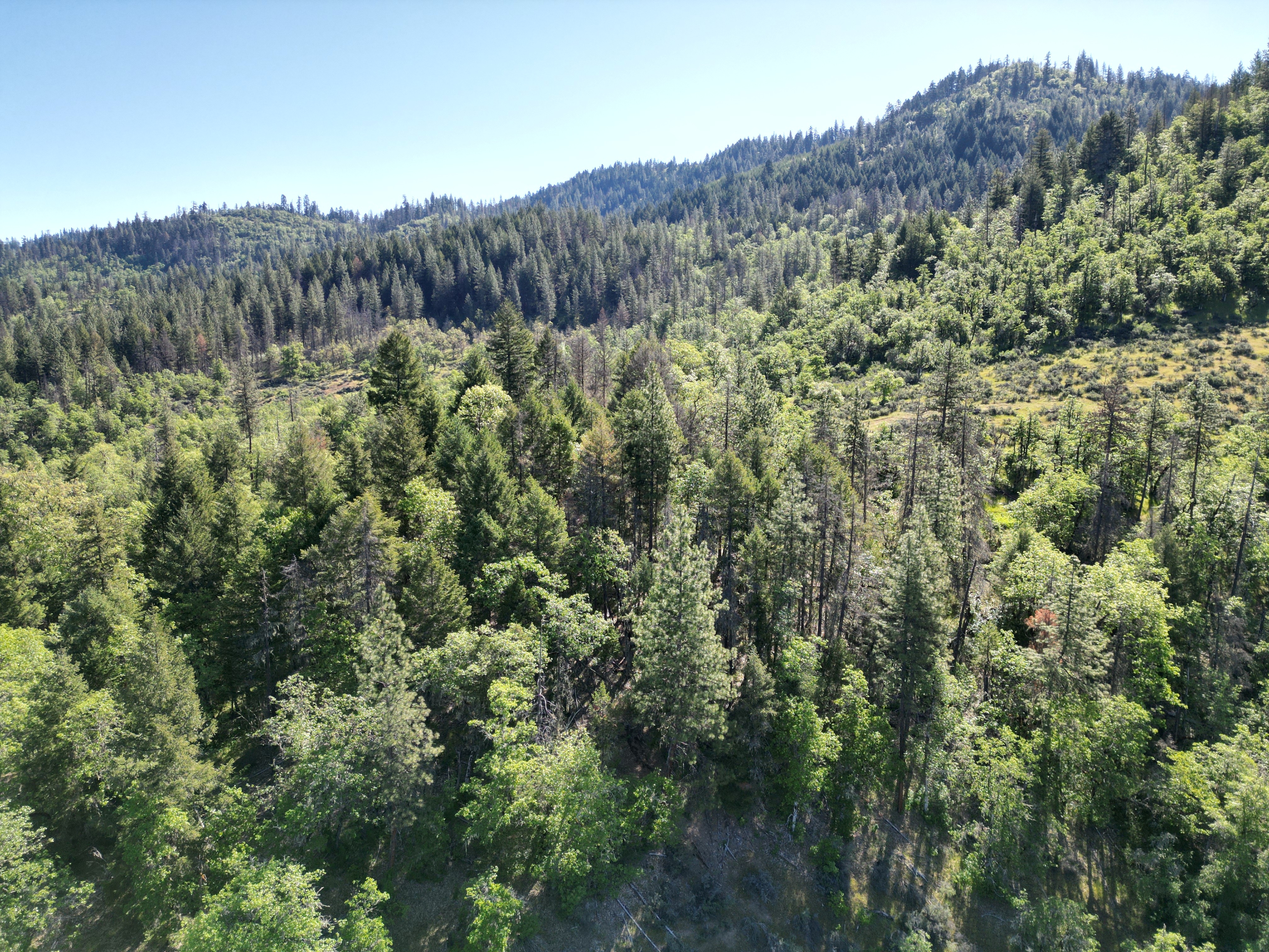 Elk Creek Road TL 3200