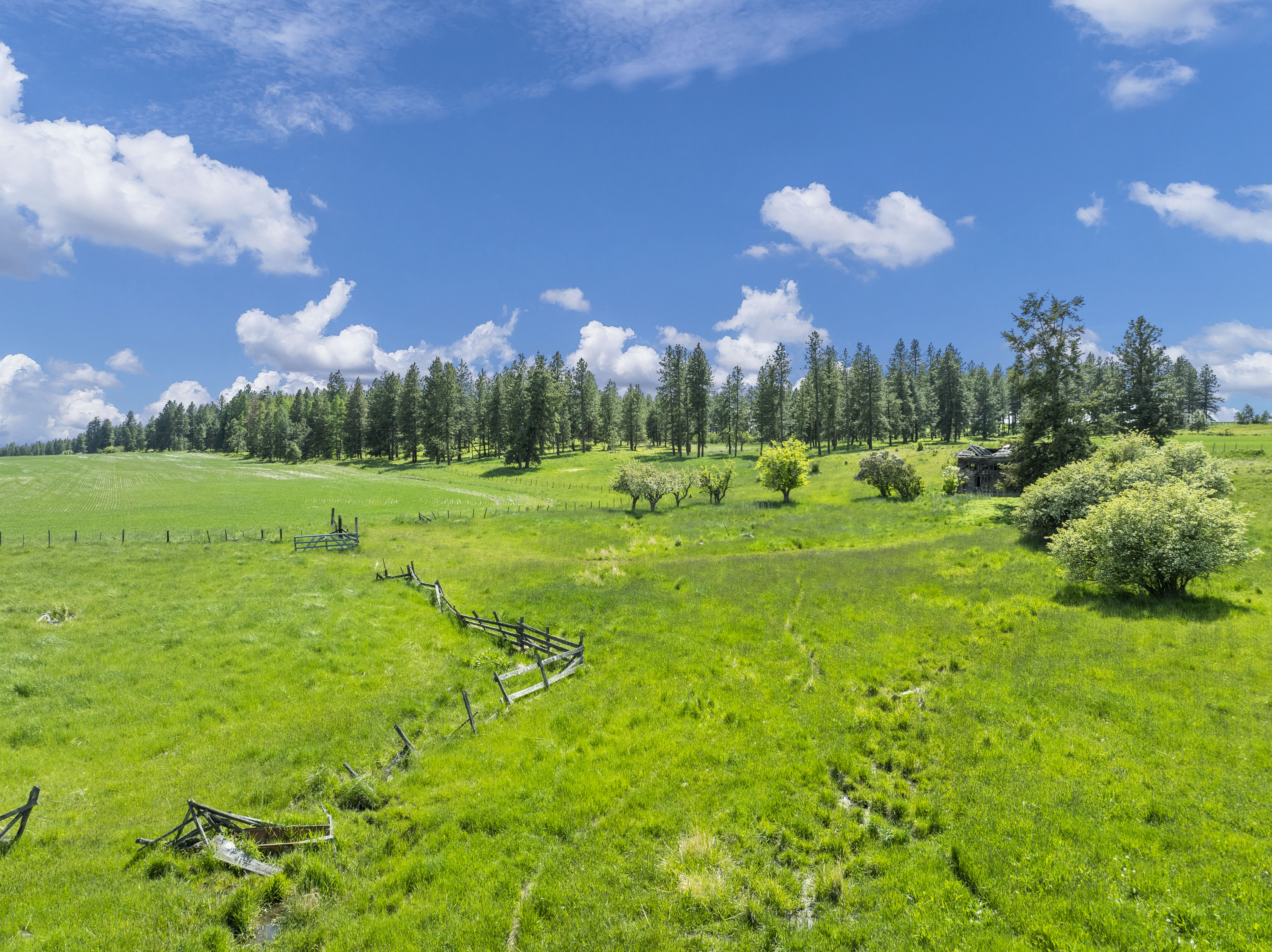 Buford Ridge Ranch