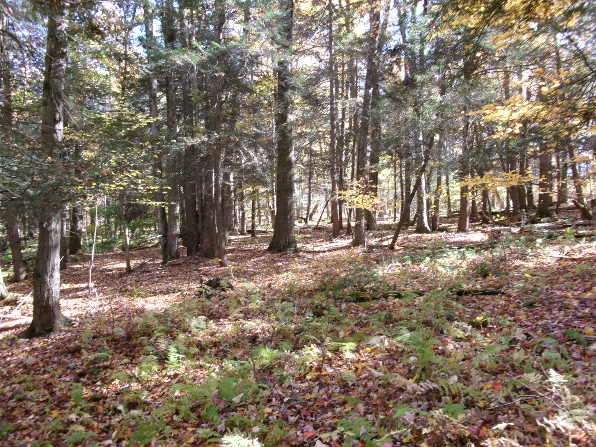 Listing Image 40