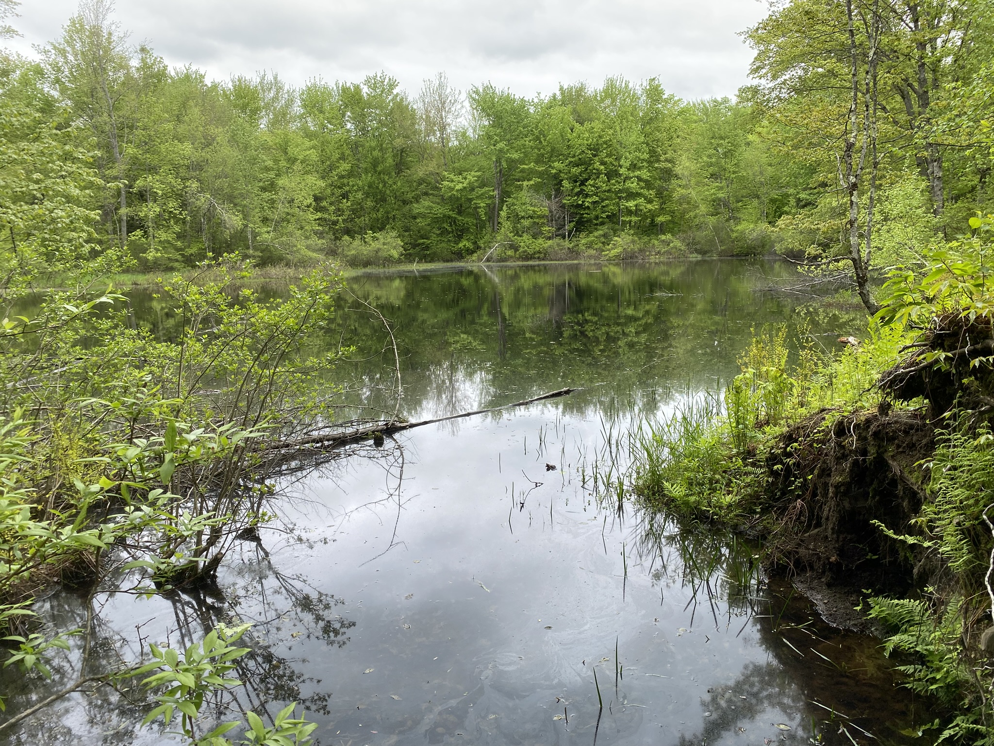 Little Salmon River Country