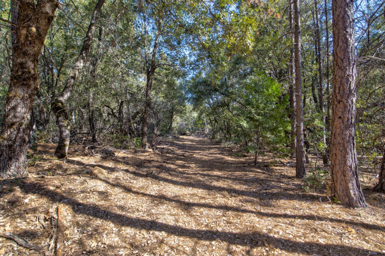 Listing Image 55