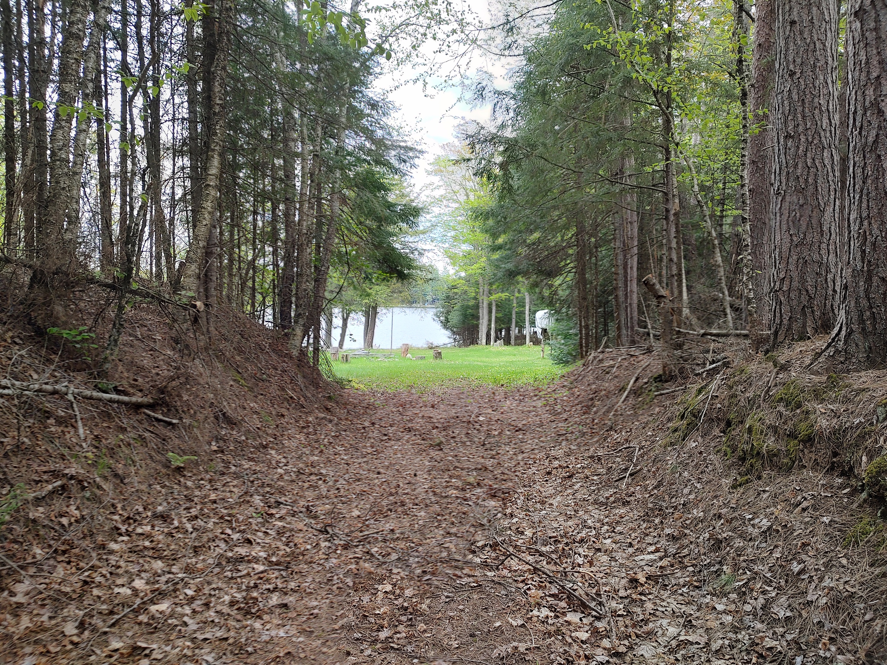 U.P. Robinson Lake Parcel 50167828
