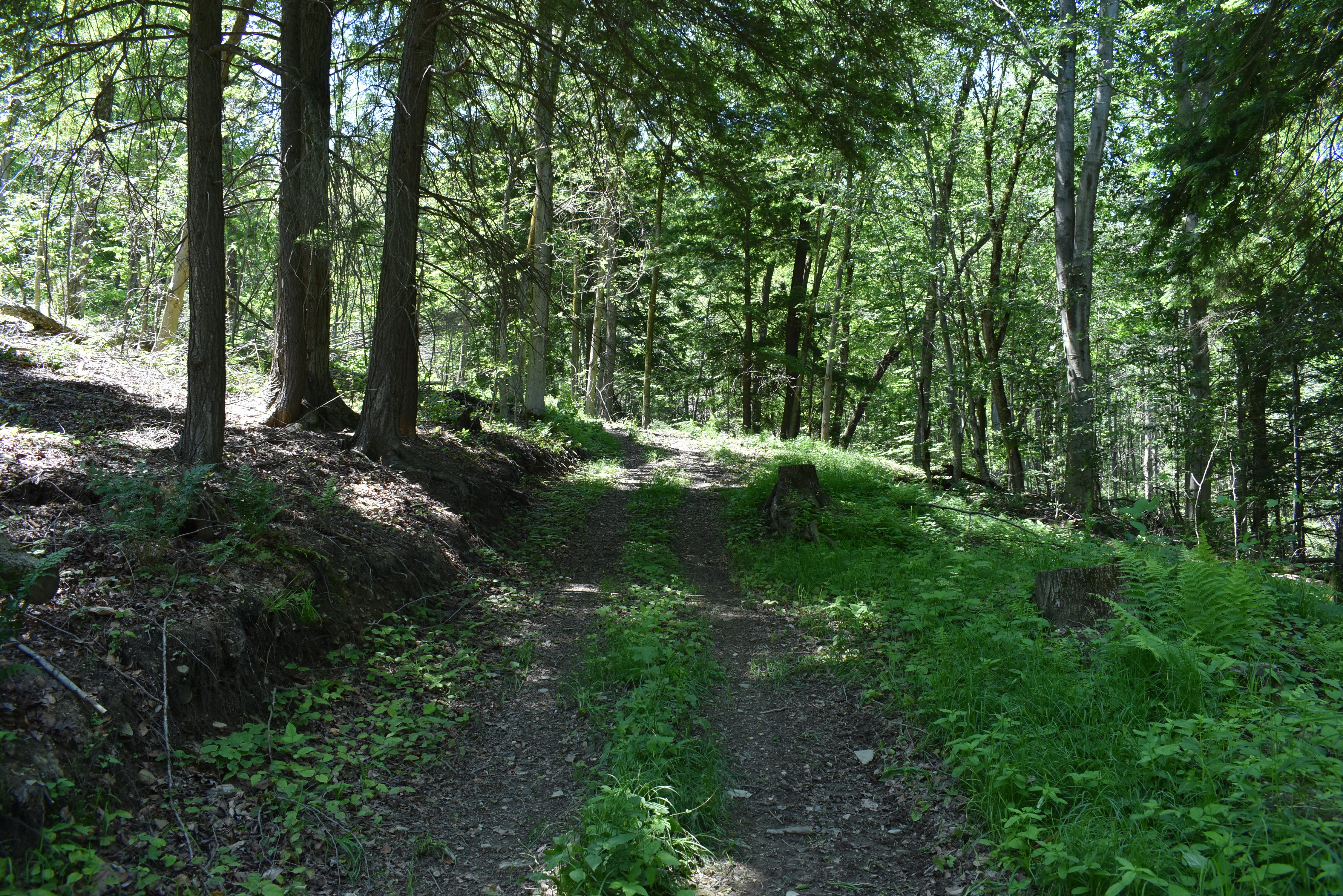 Fabulous Farrington Hollow