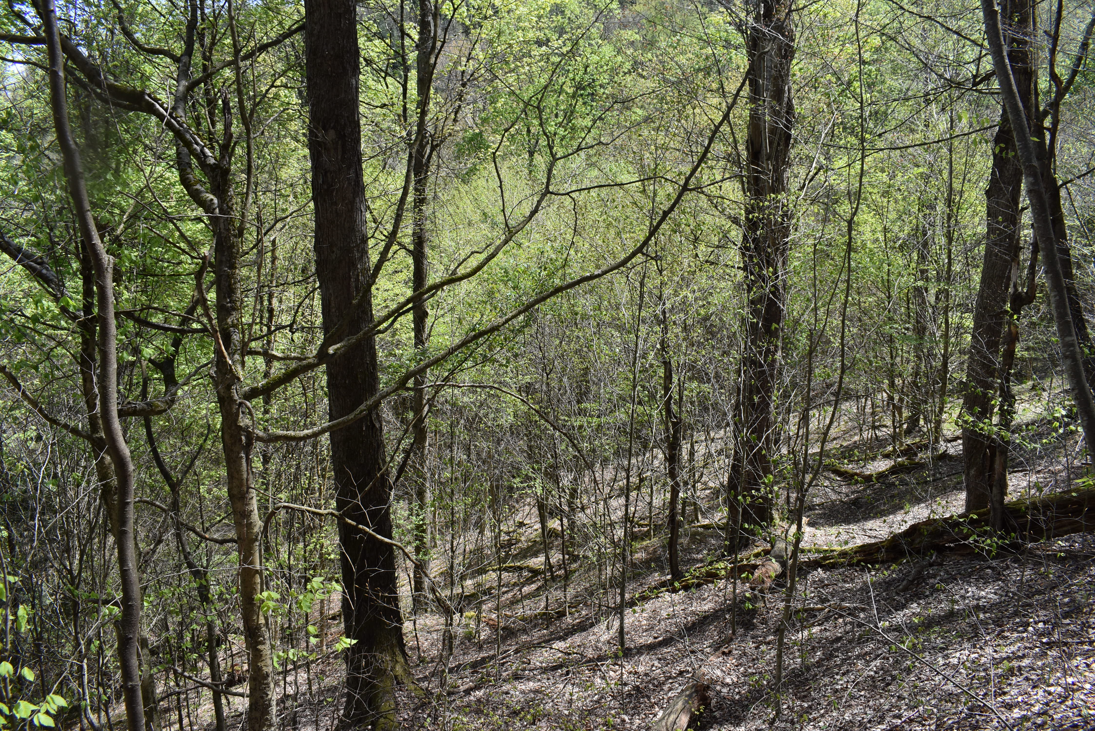 Listing Image 20