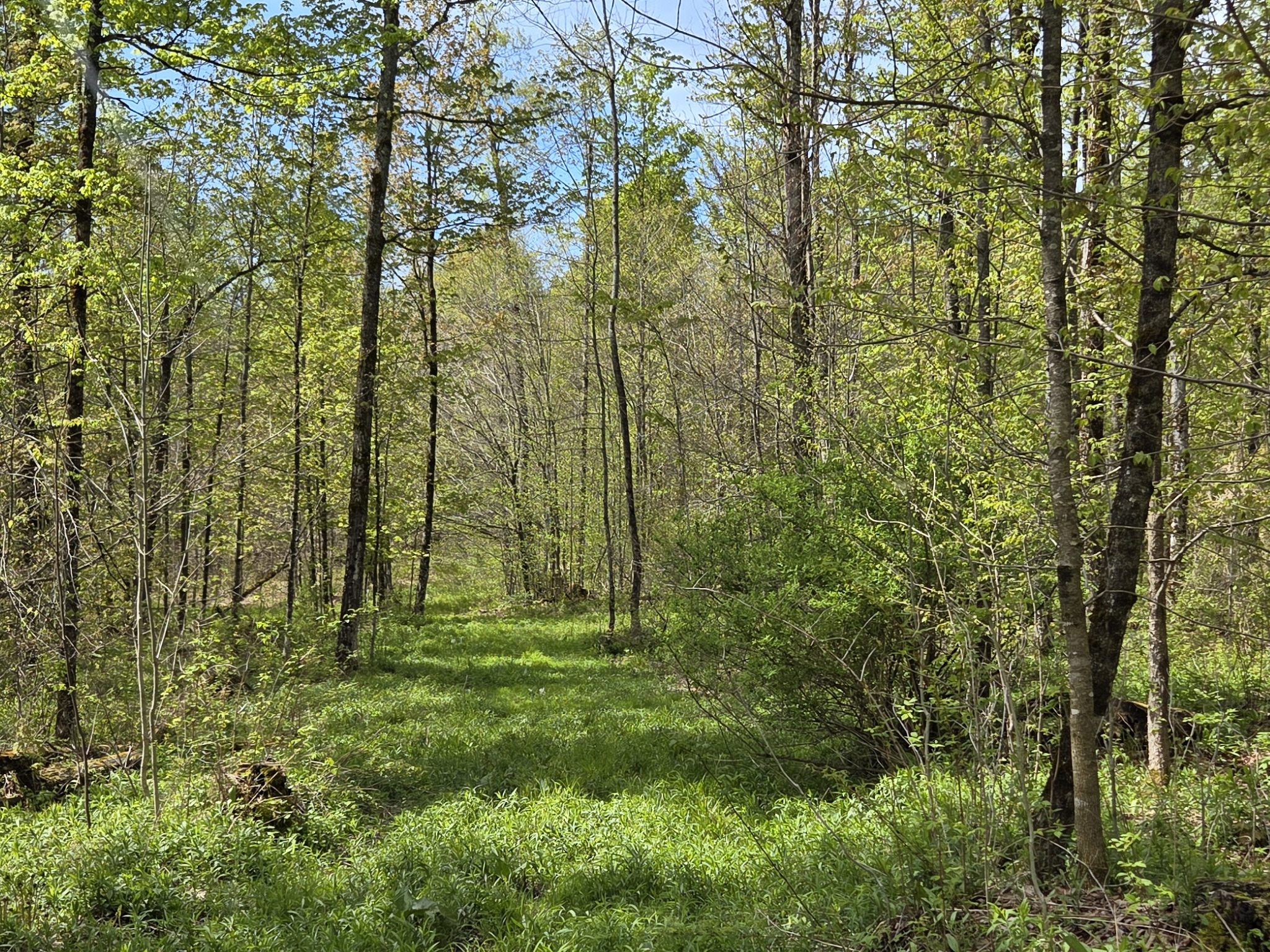 Listing Image 18