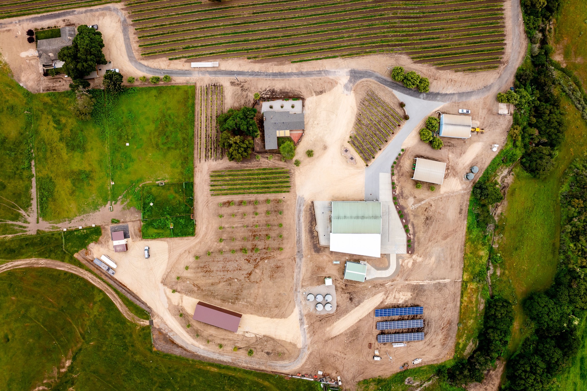Boekenoogen Santa Lucia Highlands Vineyard