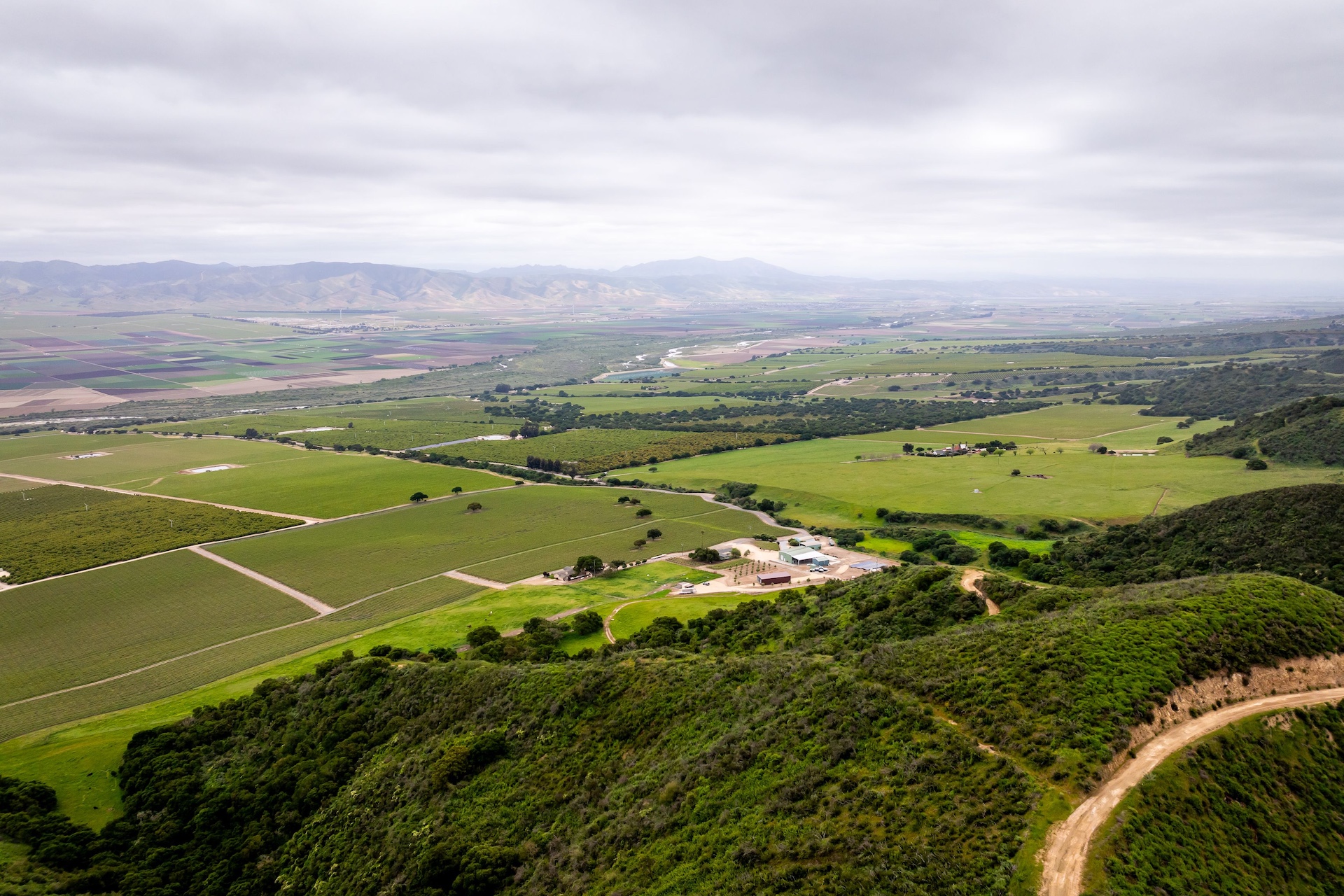 Boekenoogen Santa Lucia Highlands Vineyard