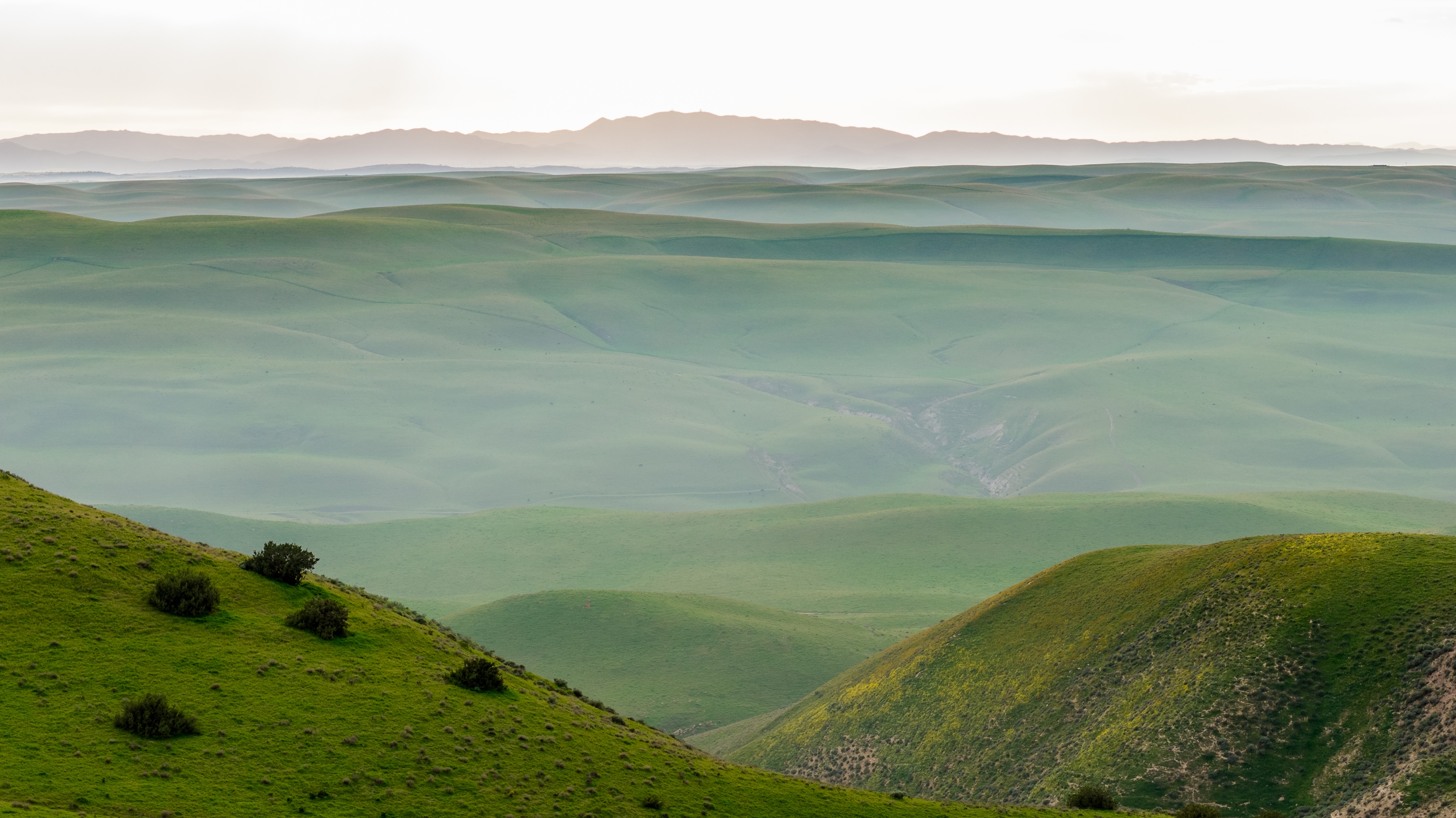 Pritchard Sumner Ranch