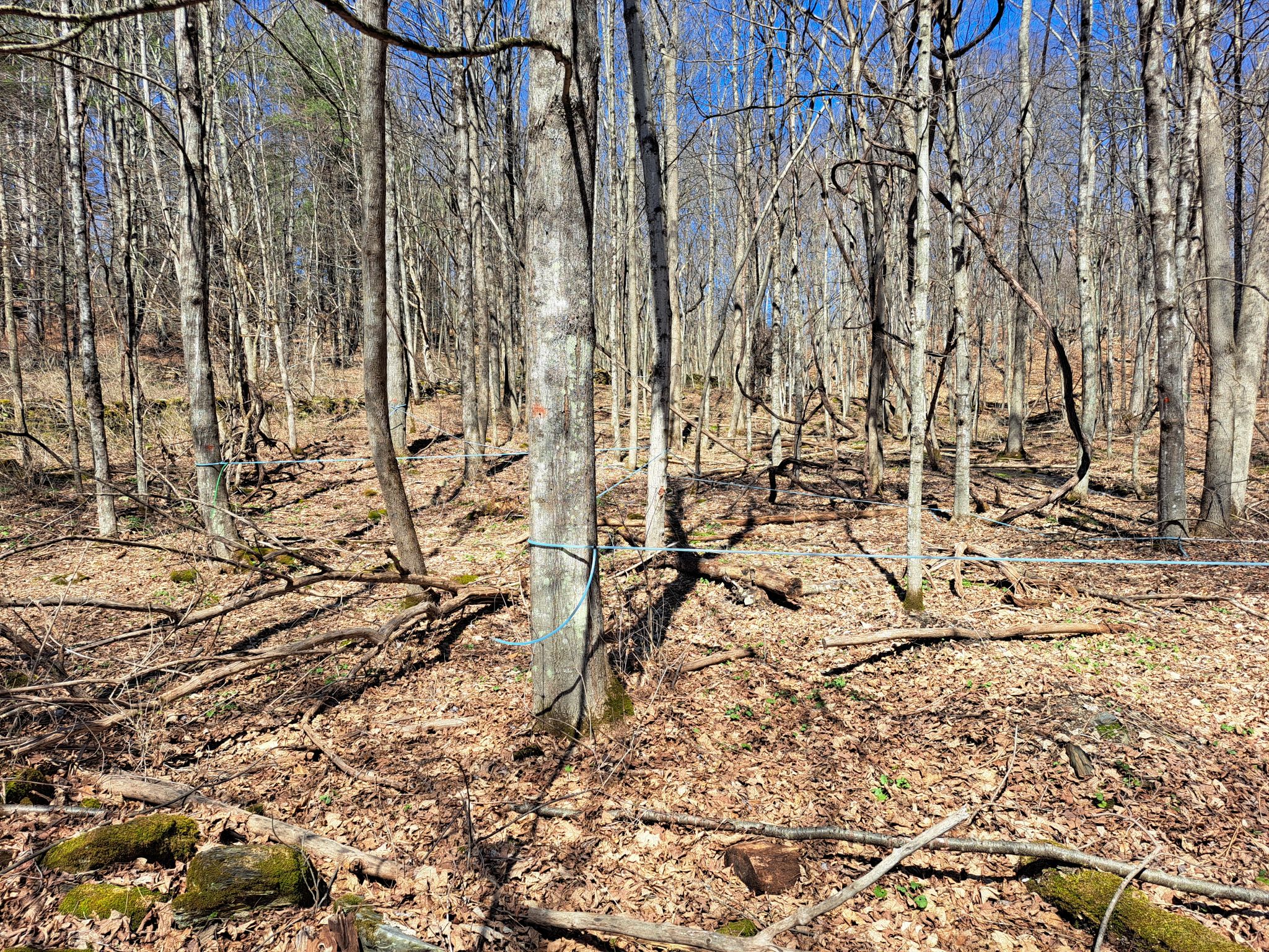 Listing Image 35