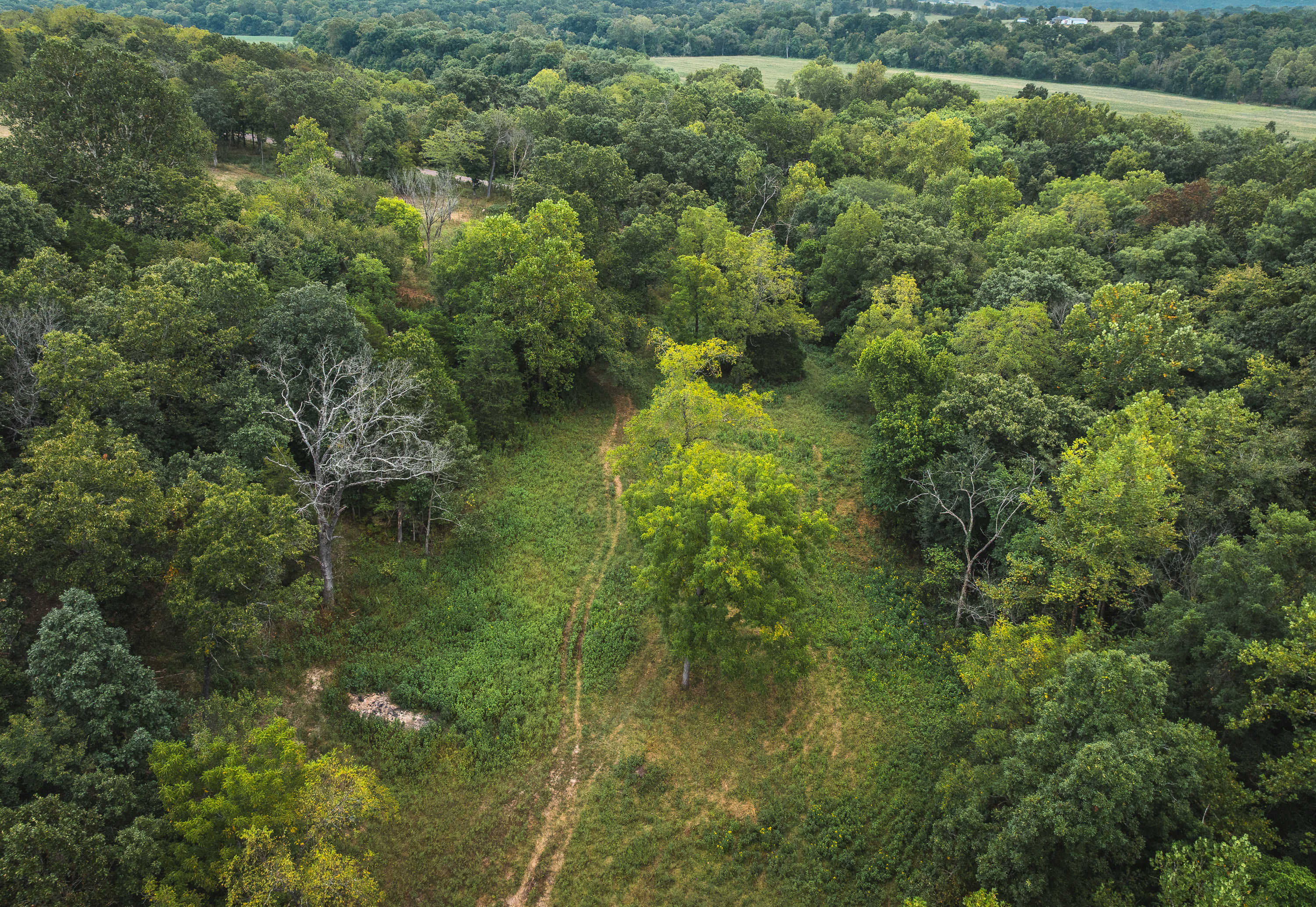 Twin Creek Farm