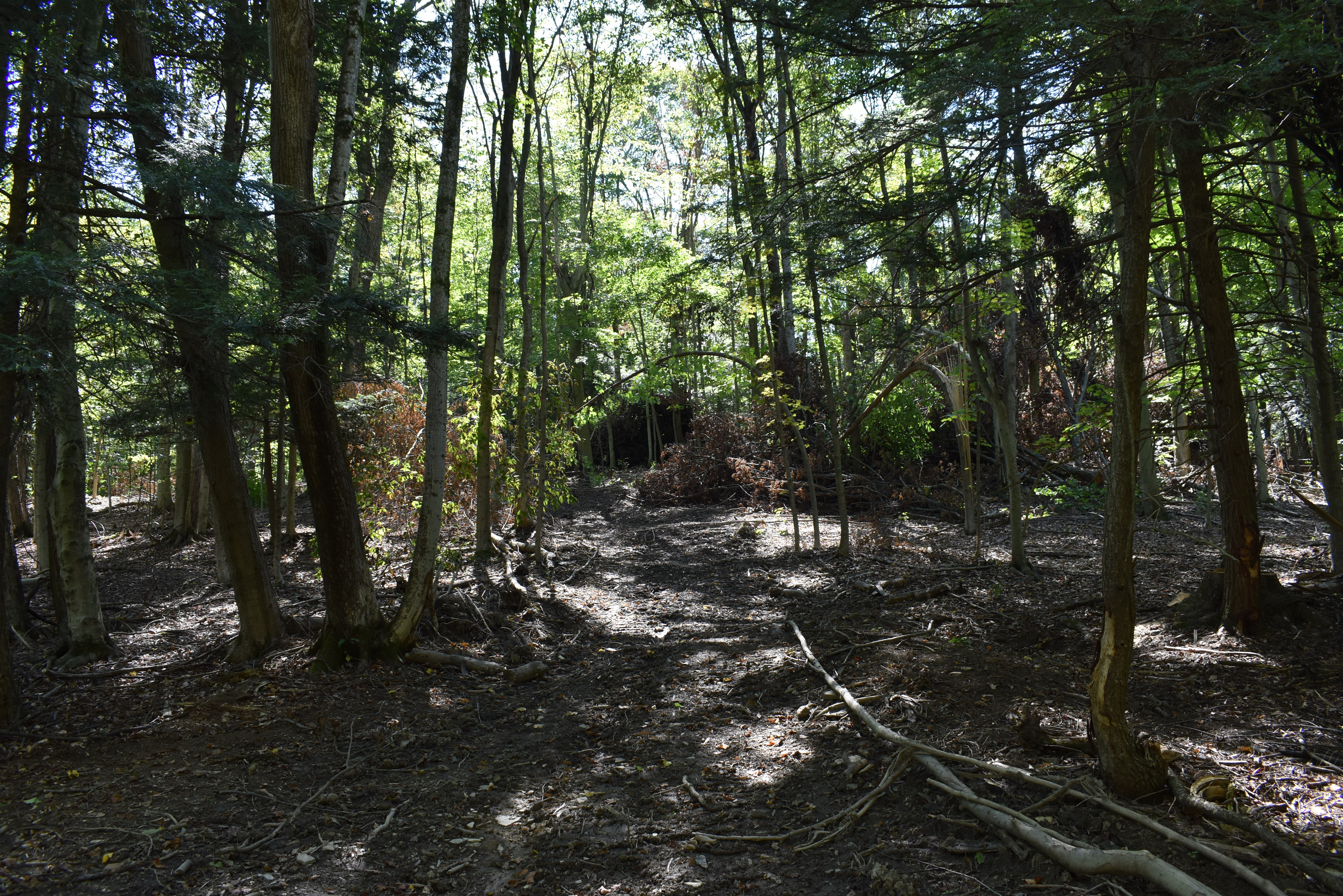 Hunter's Hidden Treasure