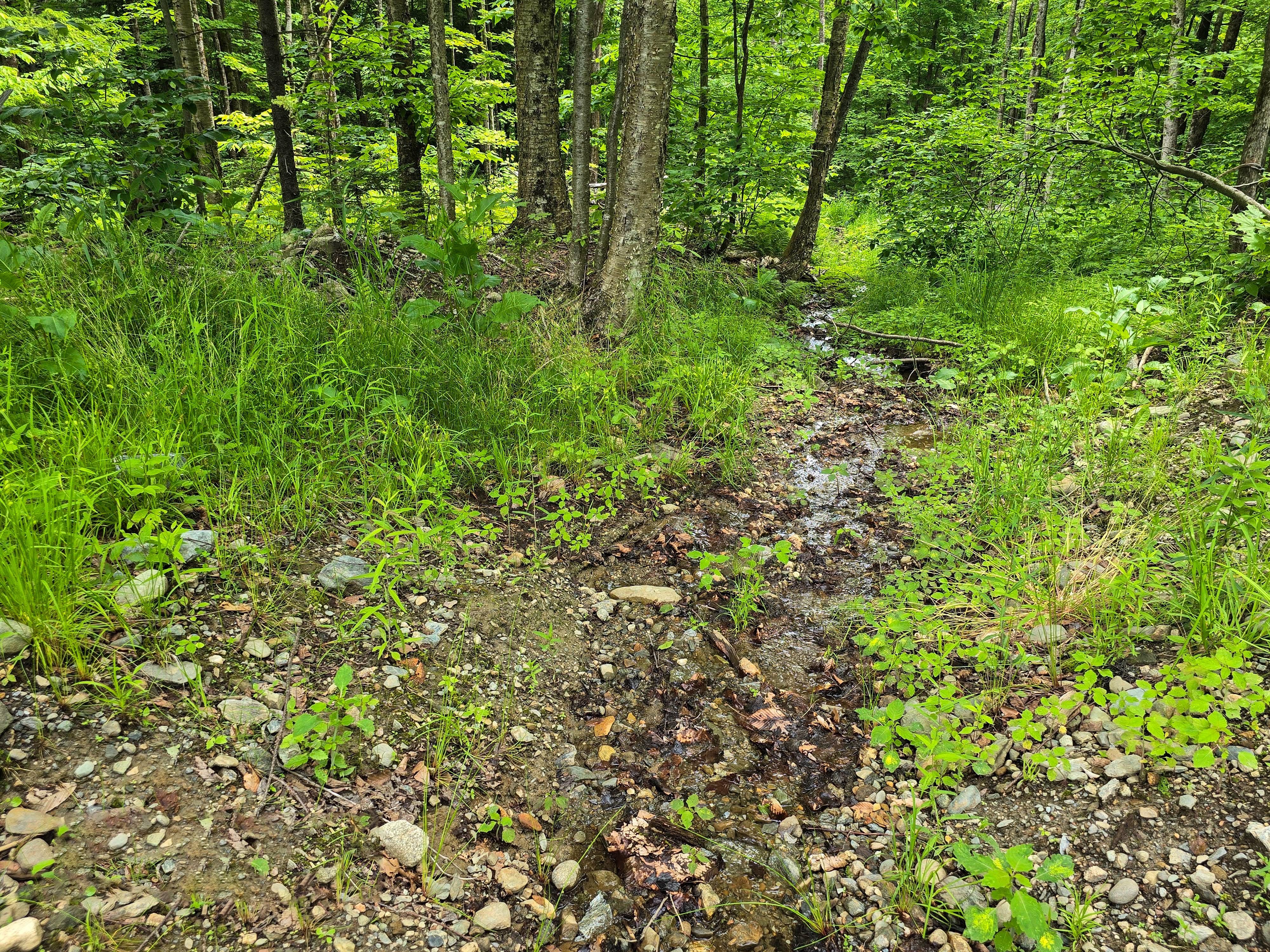 Listing Image 42