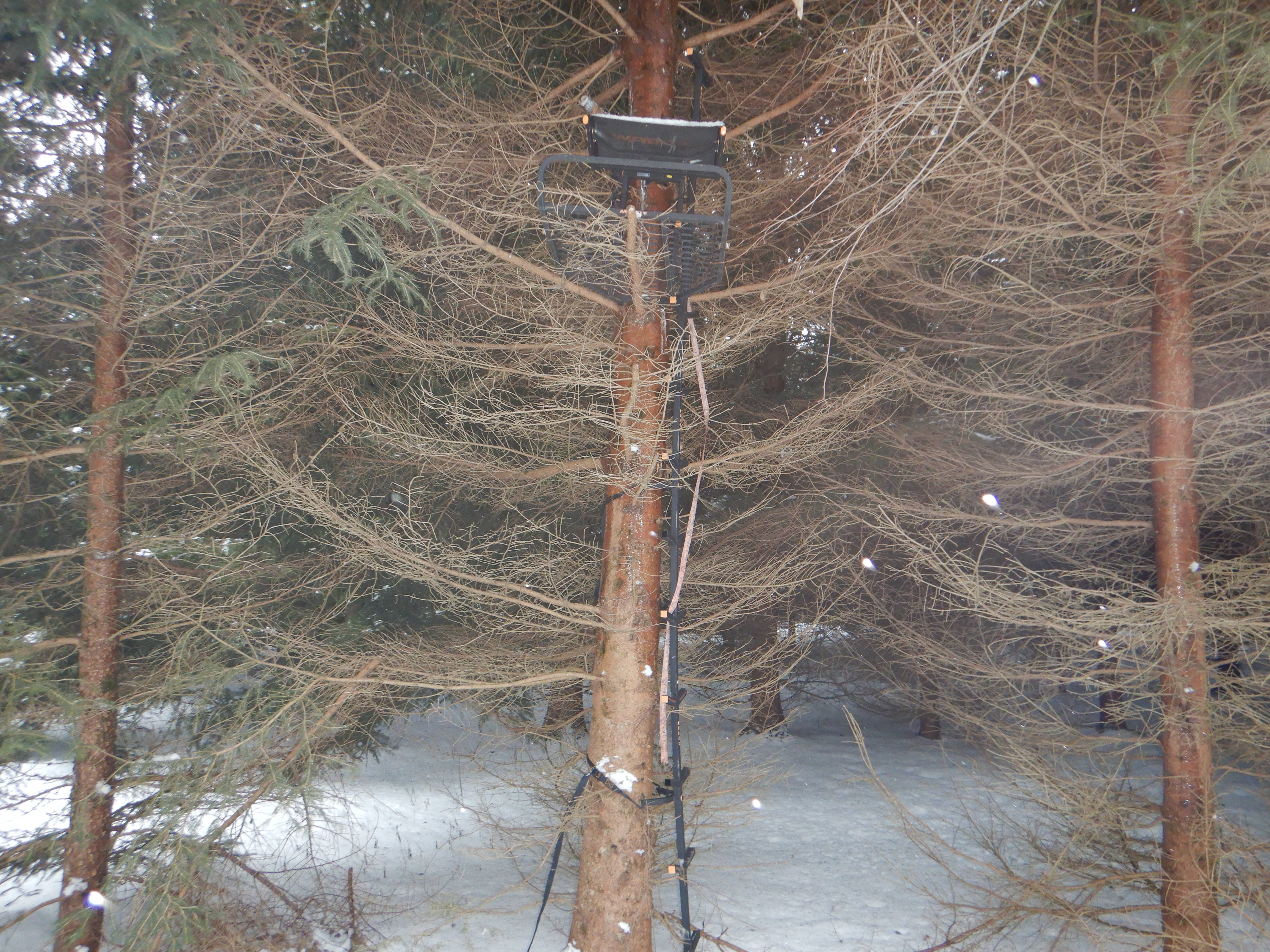 Listing Image 13