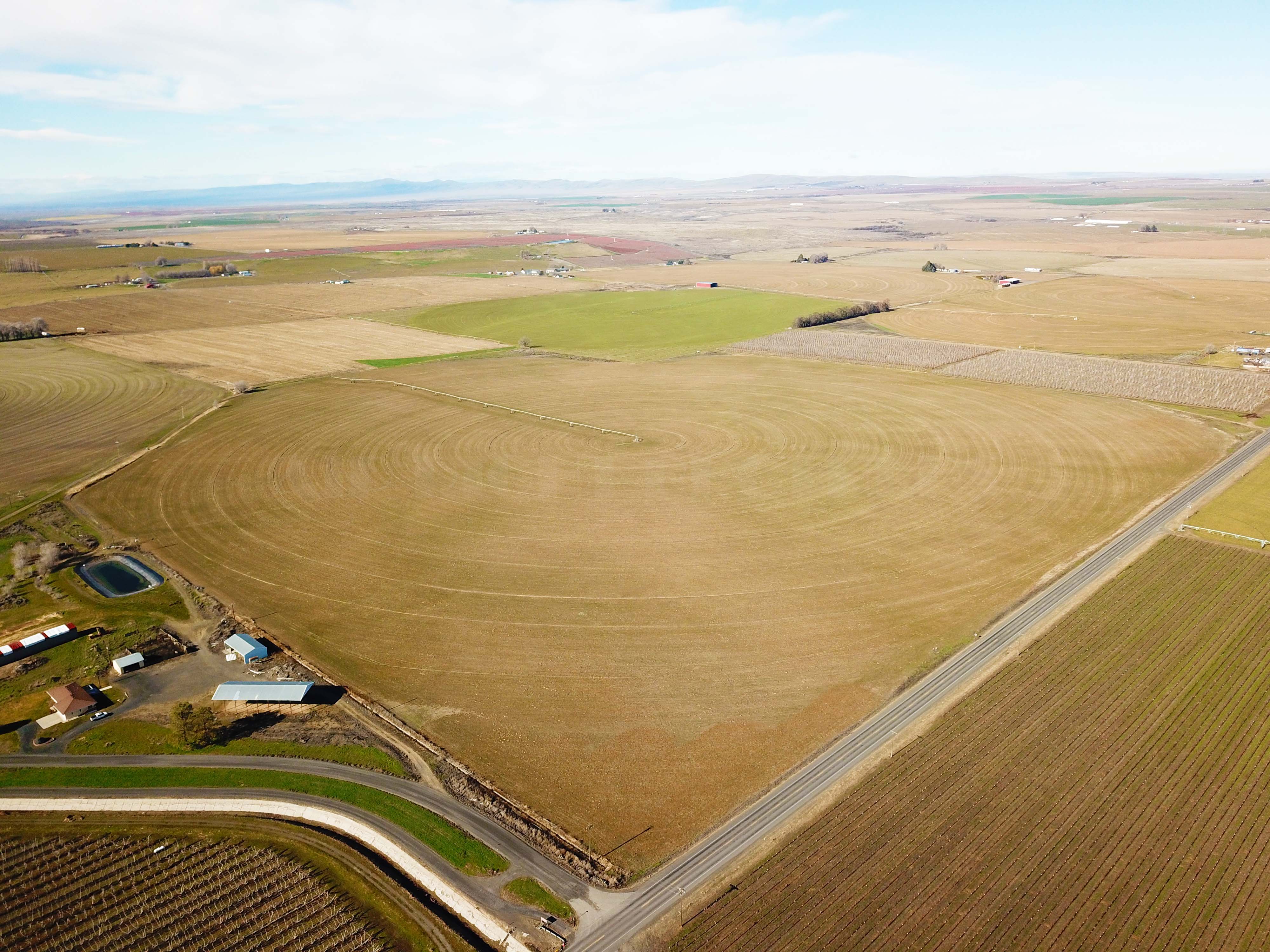 Fern Road Irrigated farm