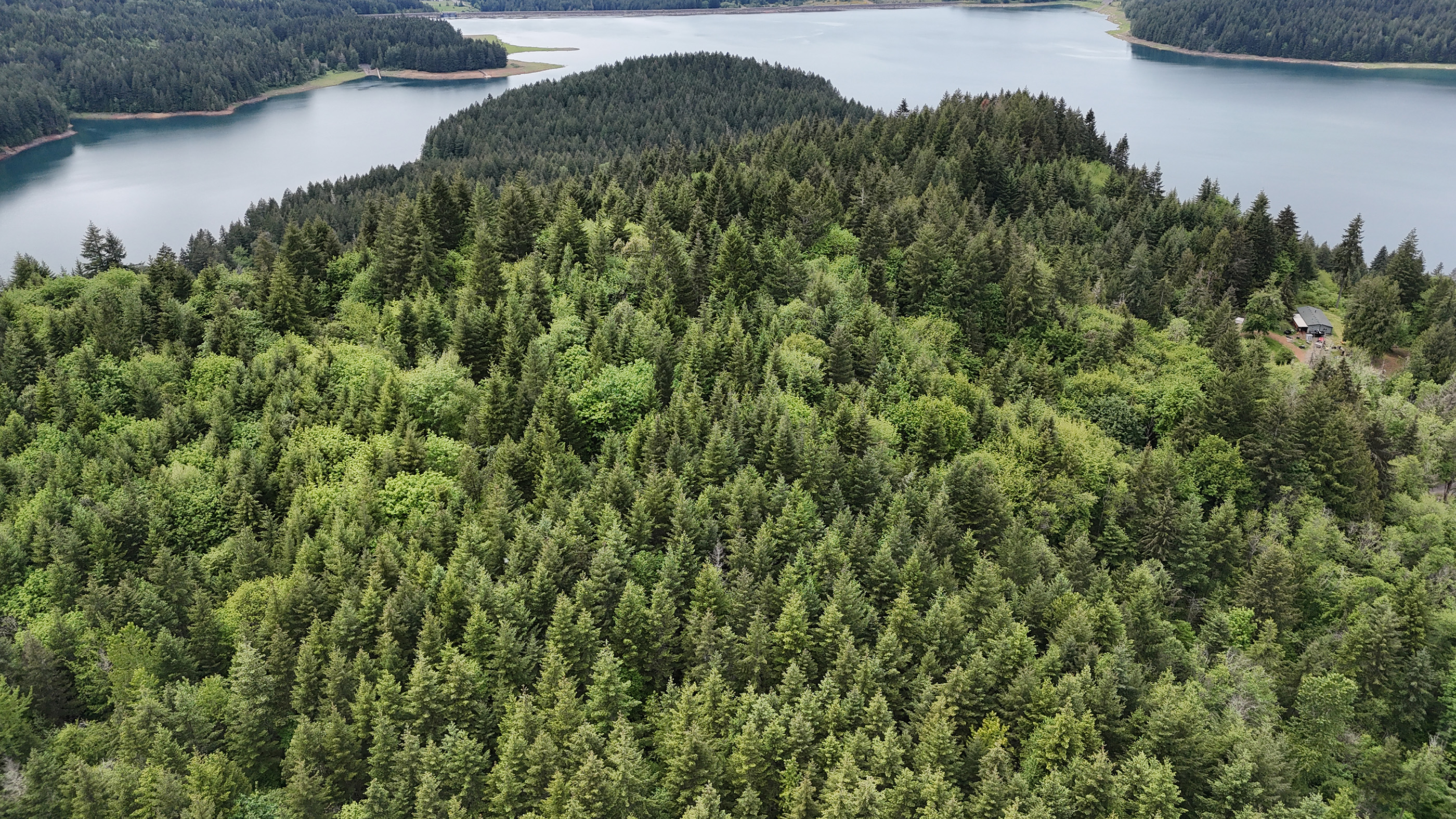 83715 Peninsula Rd Fall Creek OR