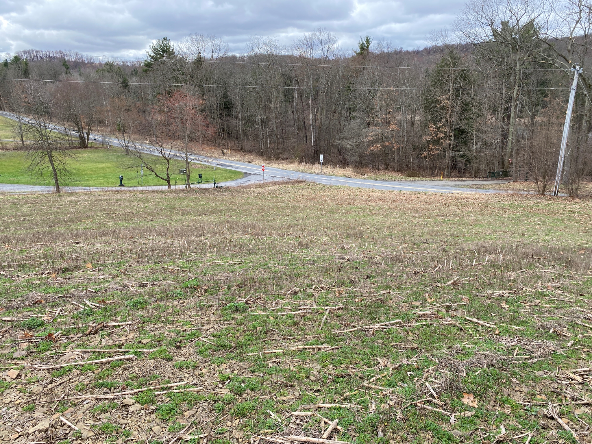 Mark's Meadow