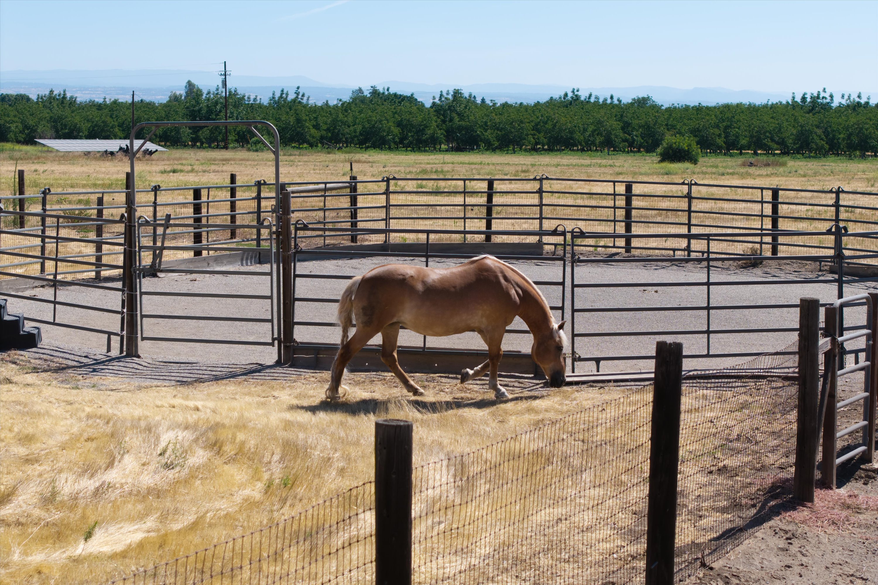 Woodard Ranch