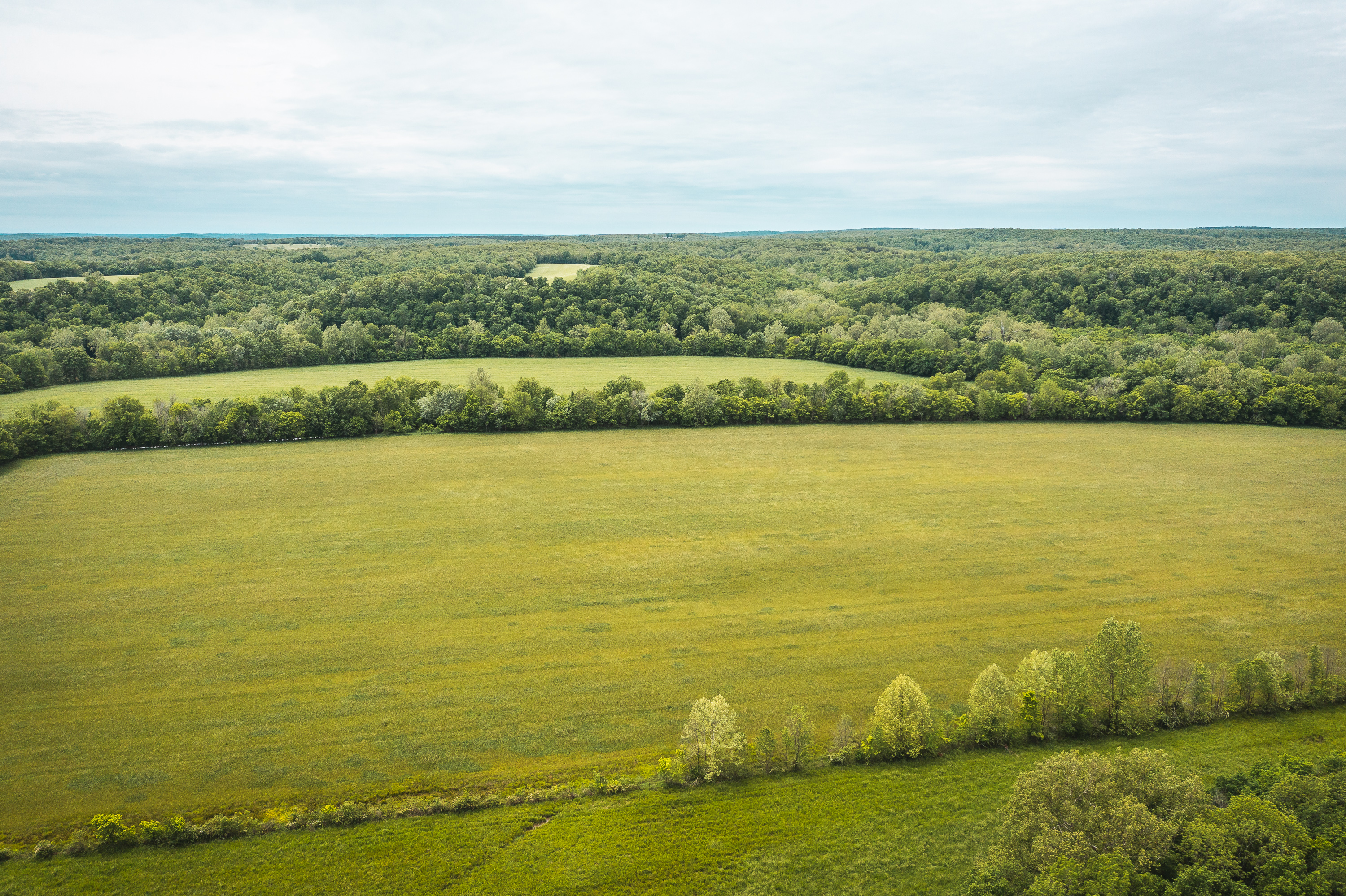 Gasconade Angus Ranch