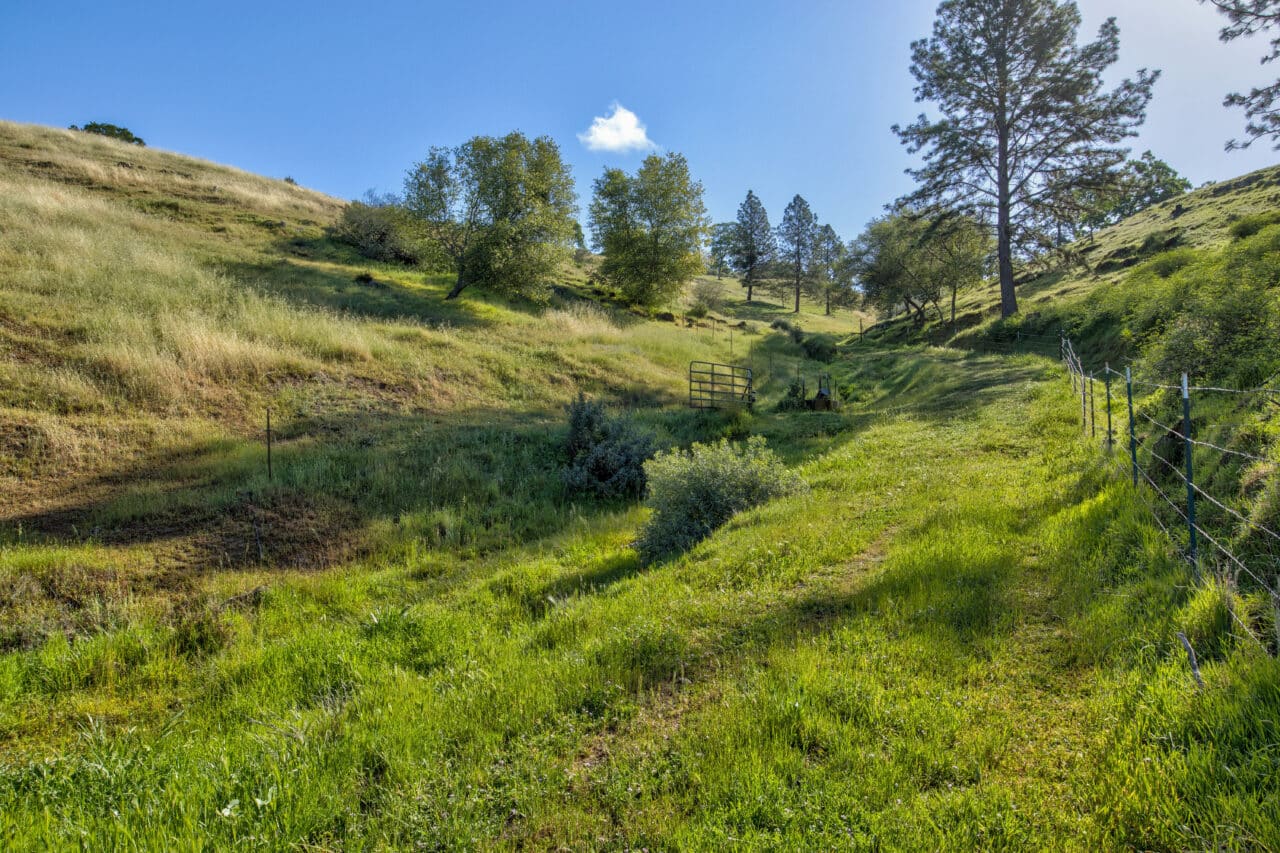 Trembath Mountain Vista