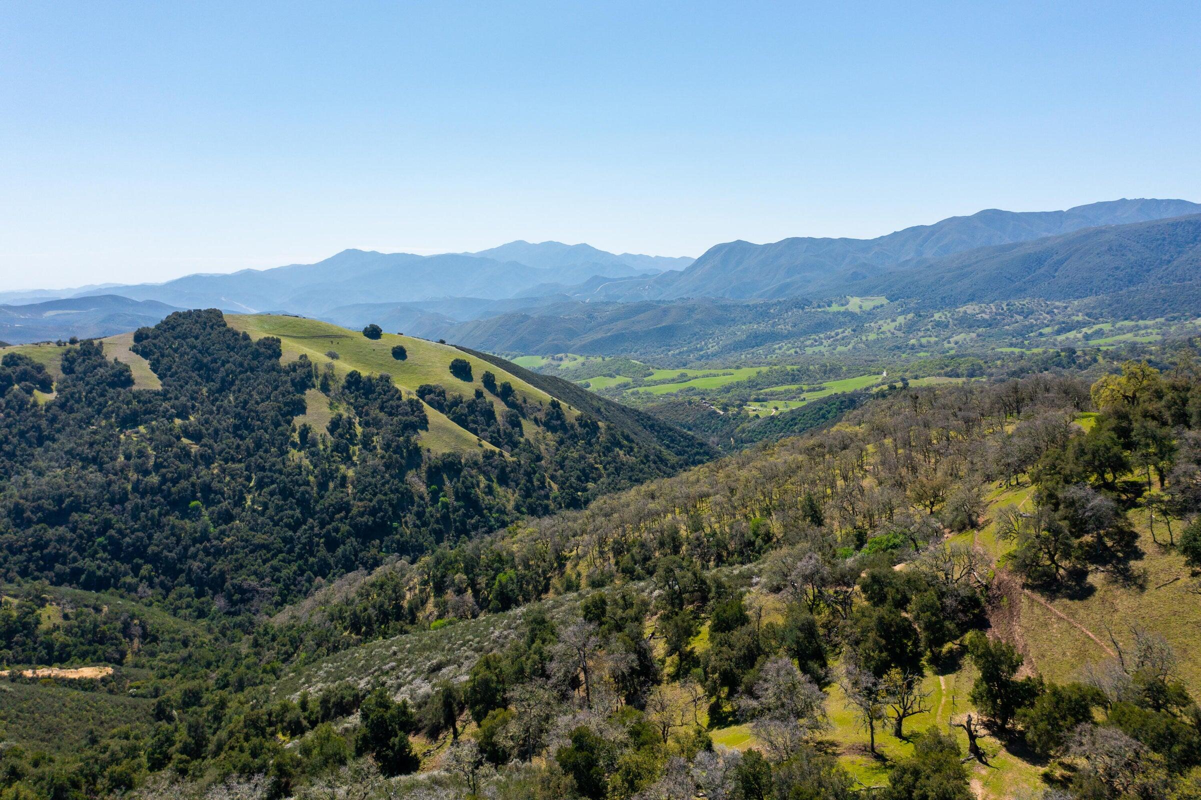 Palo Escrito Ranch