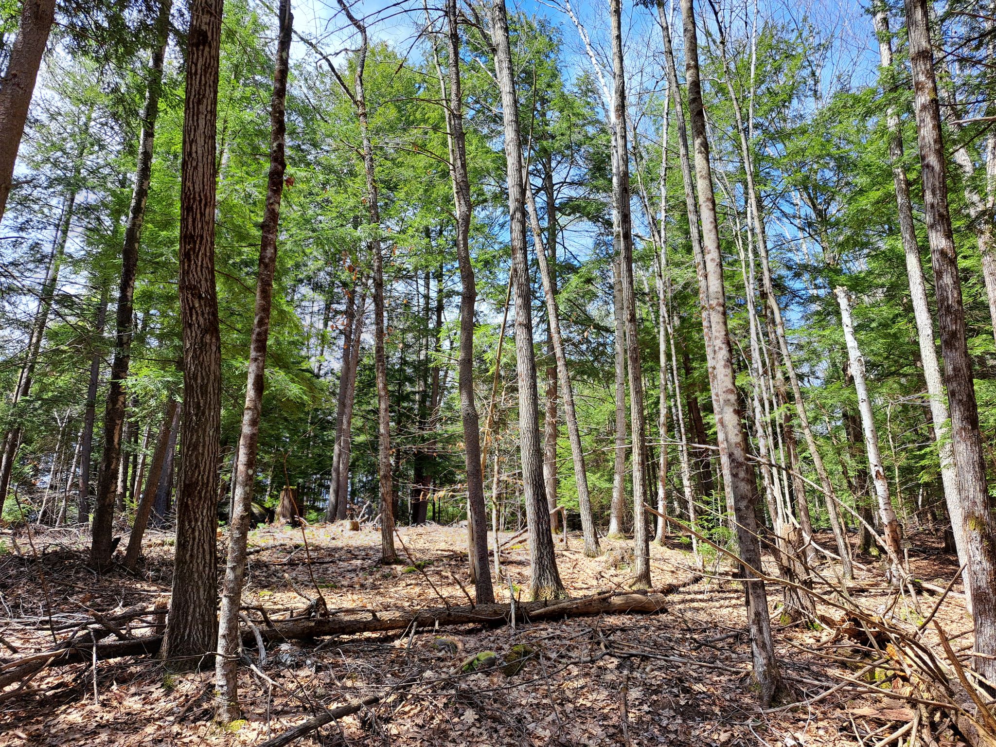 Listing Image 42