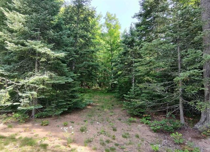 Listing Image 28