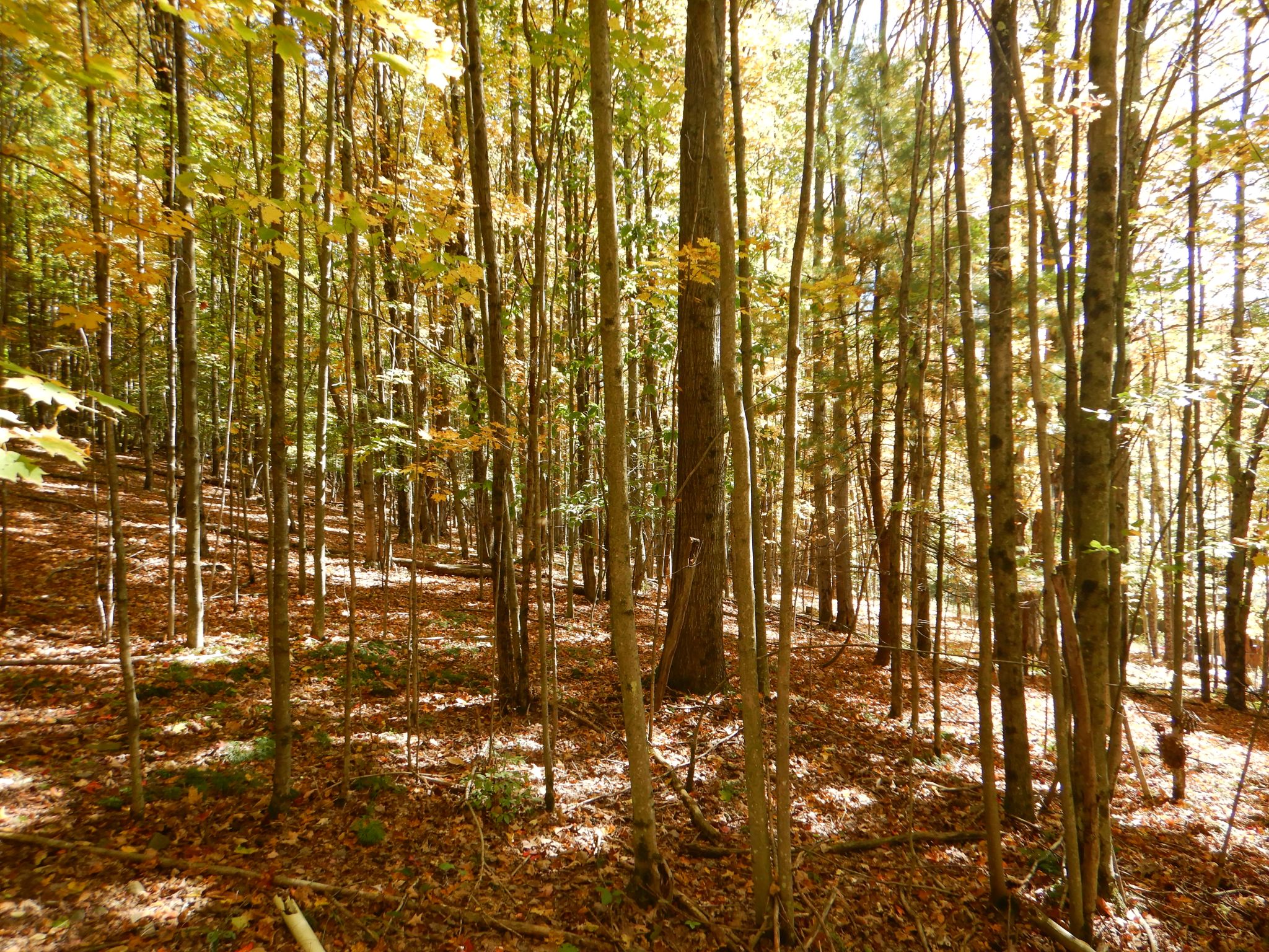 Listing Image 23