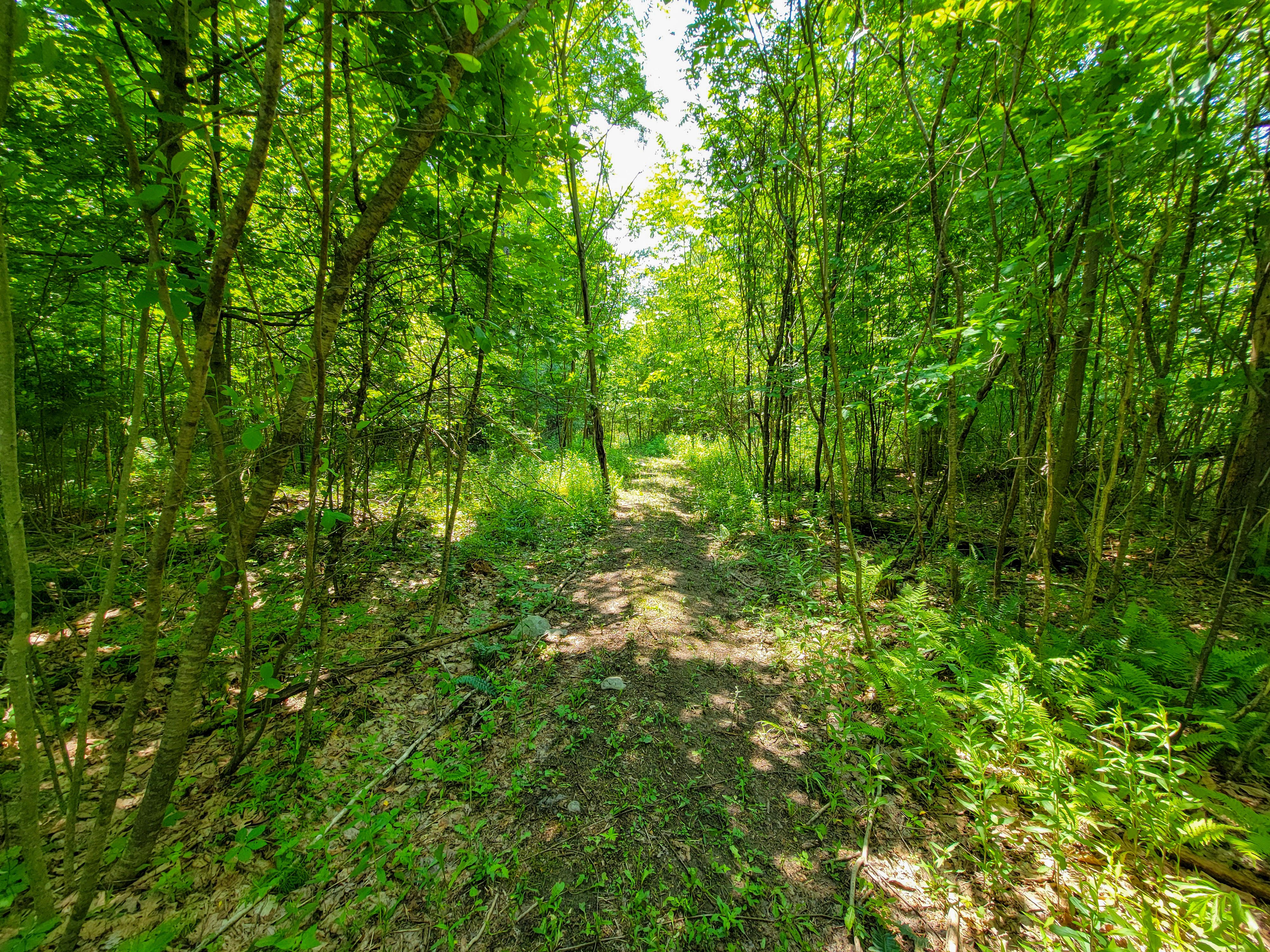21 Nickerson Rd - Brandon