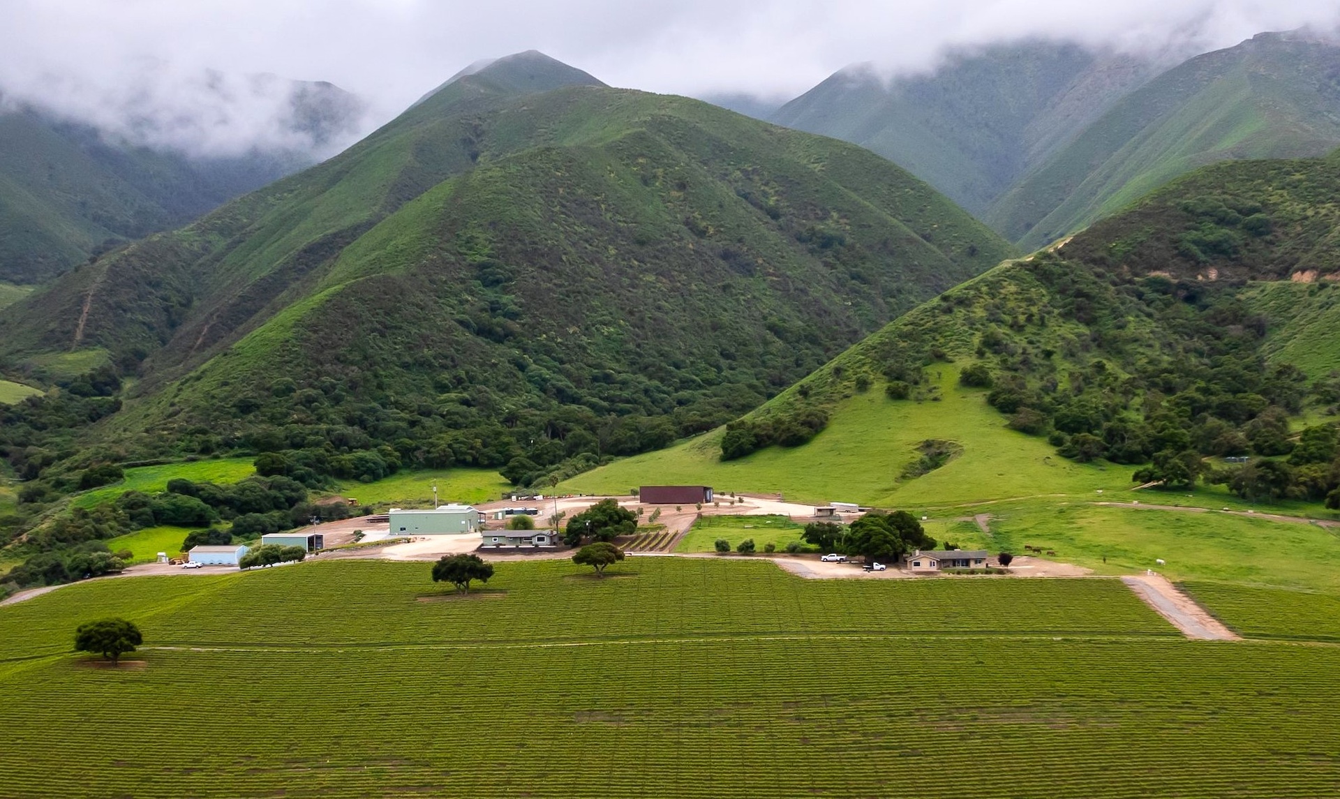 Boekenoogen Santa Lucia Highlands Vineyard