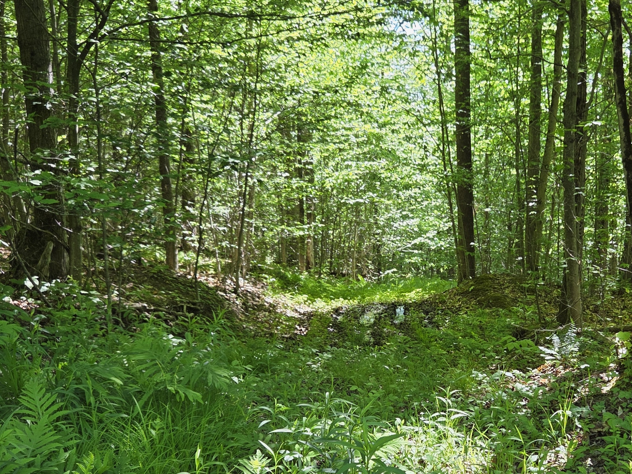 Listing Image 42