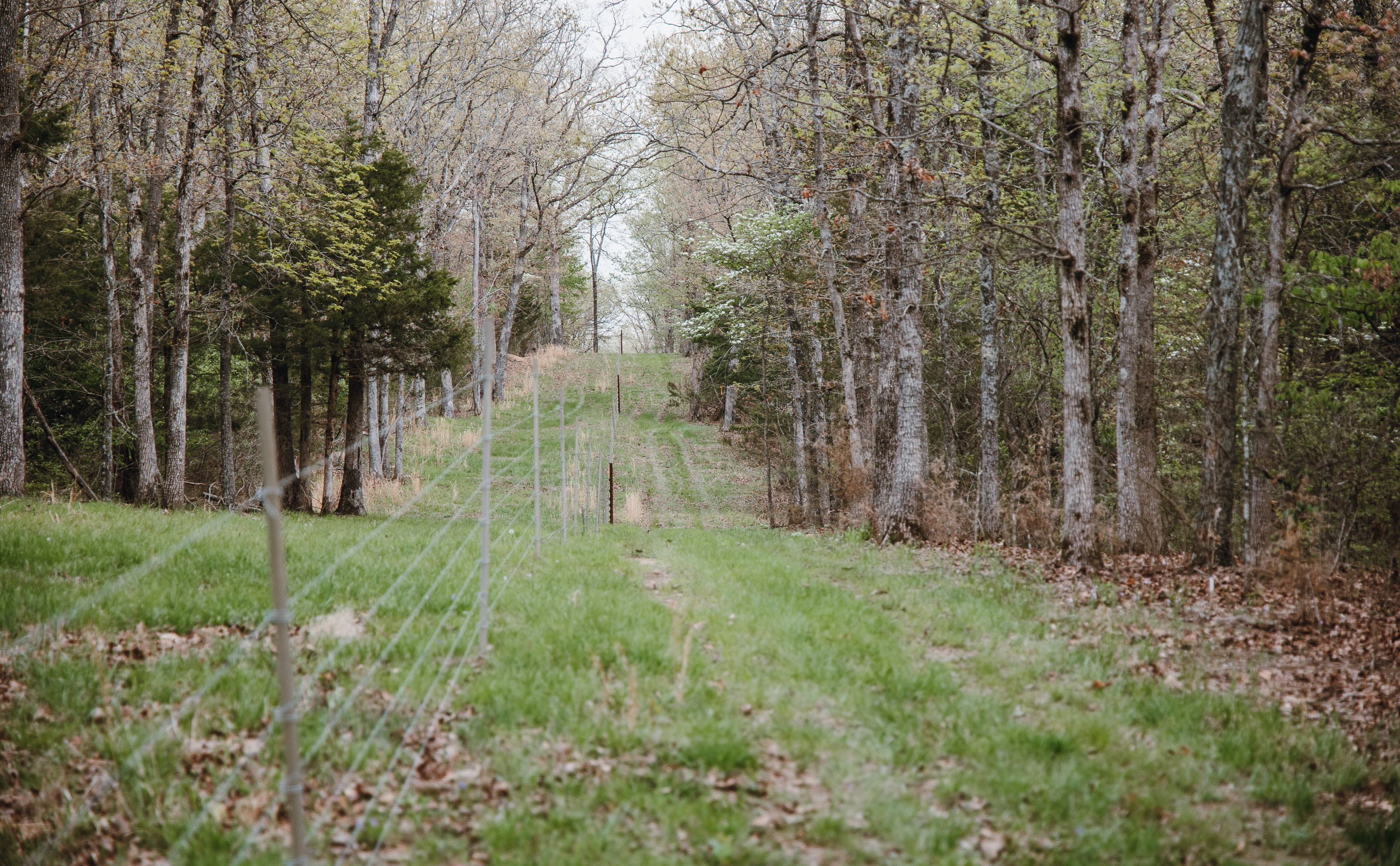 Owensville Buck Nest