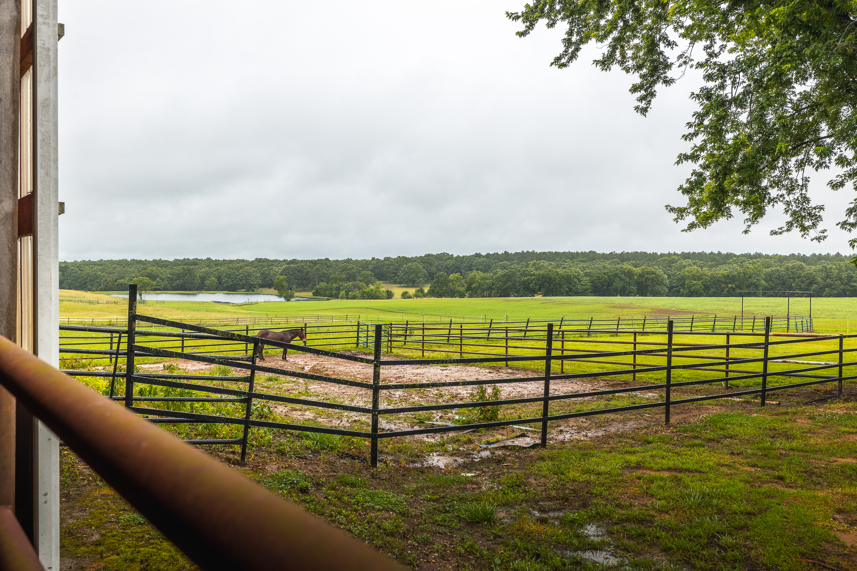 T-Cross Farm