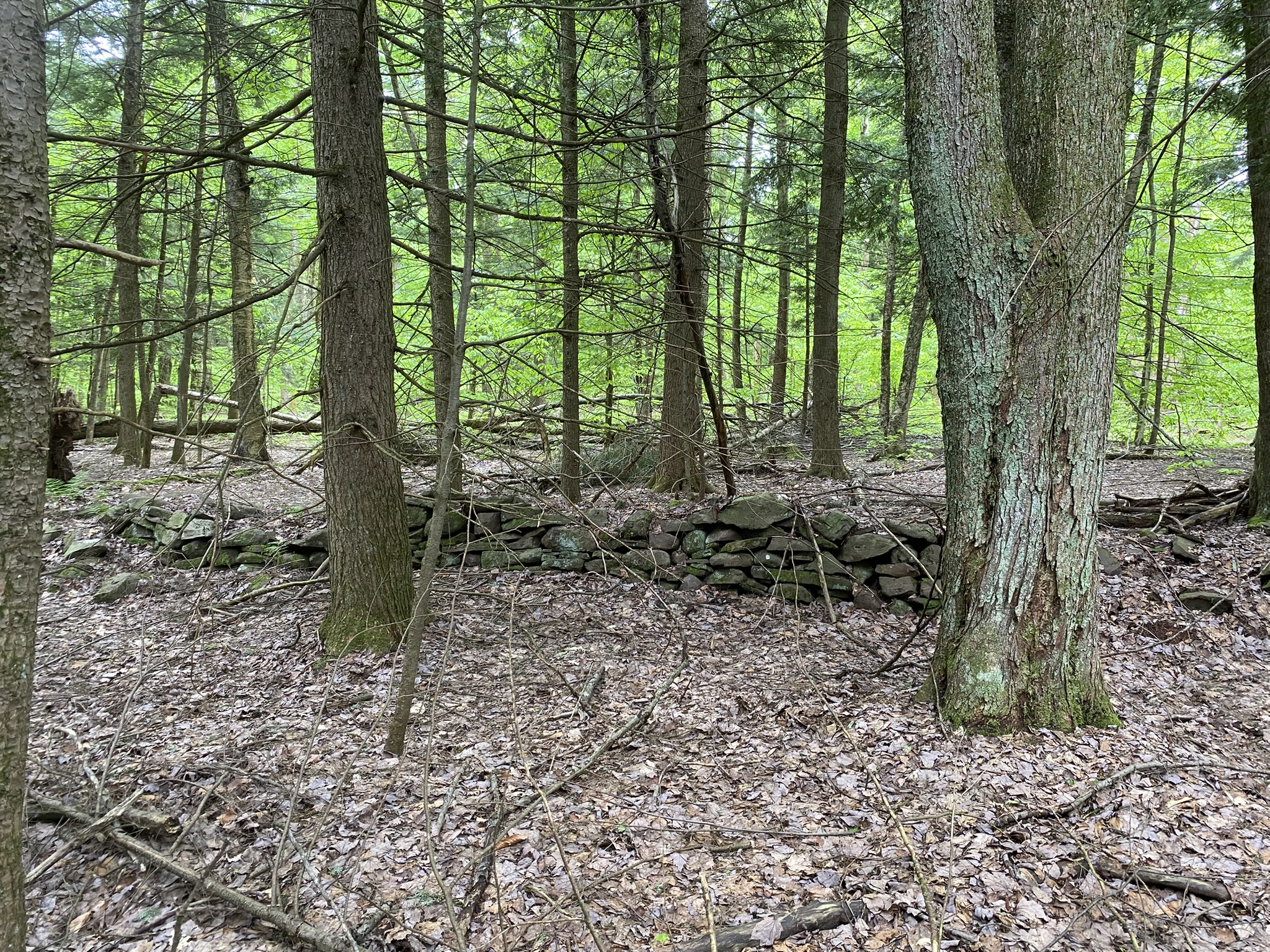 Little Salmon River Country