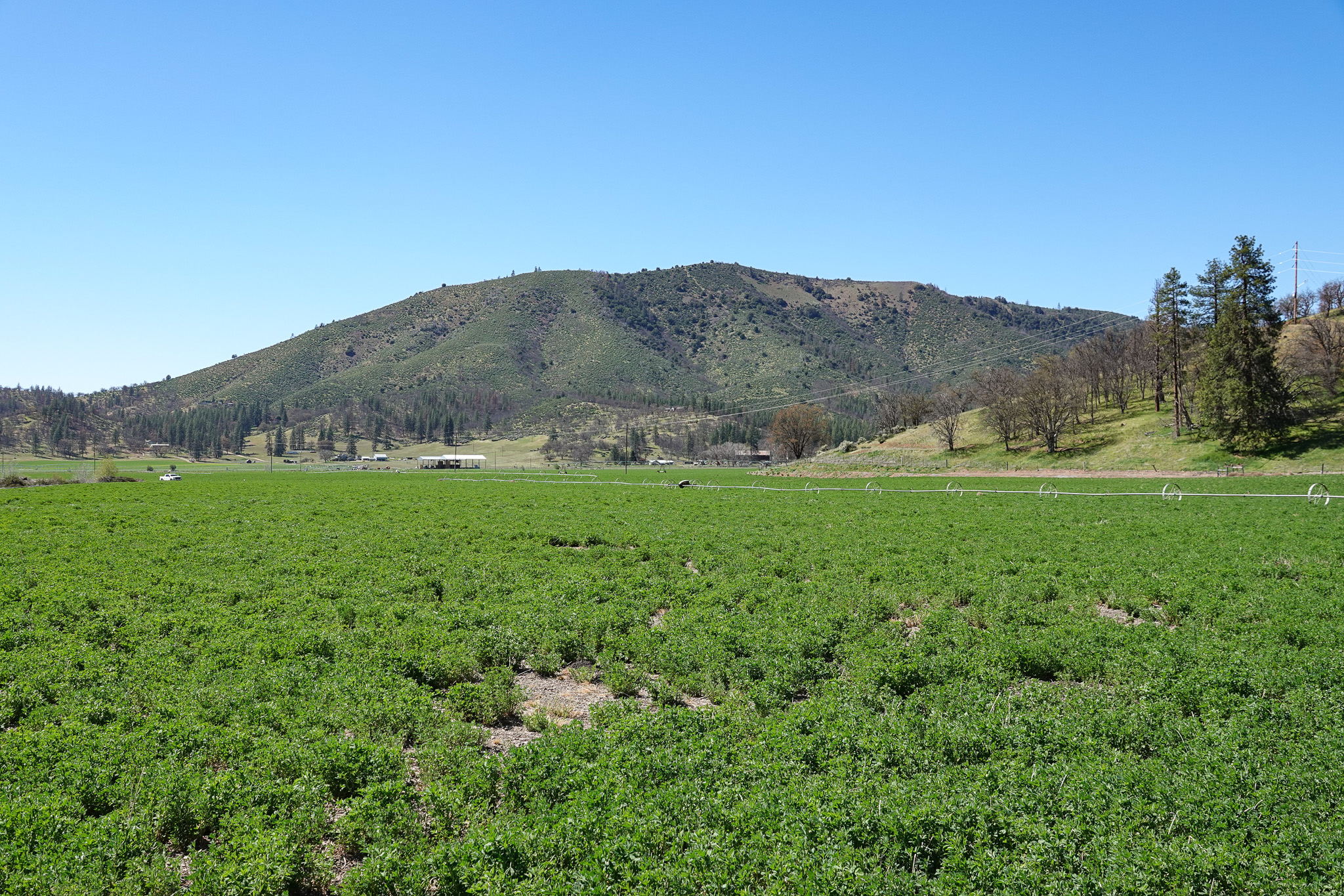 Kraus and Sons Ranch