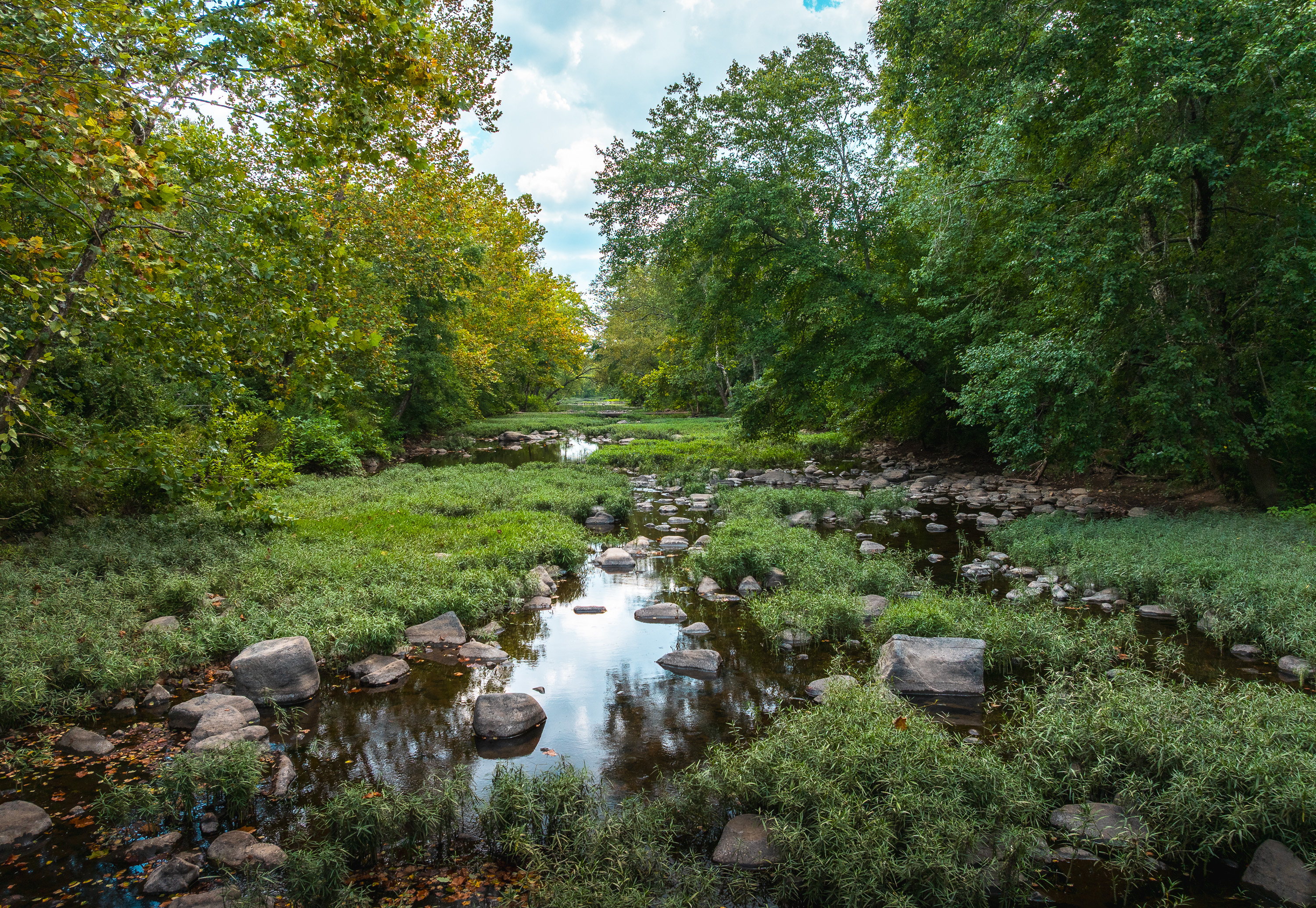 420 Acre Farm on Stouts Creek