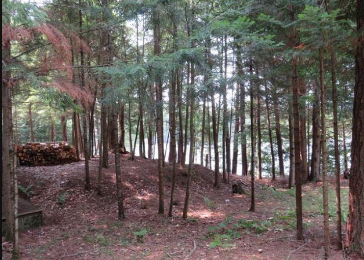 Listing Image 43