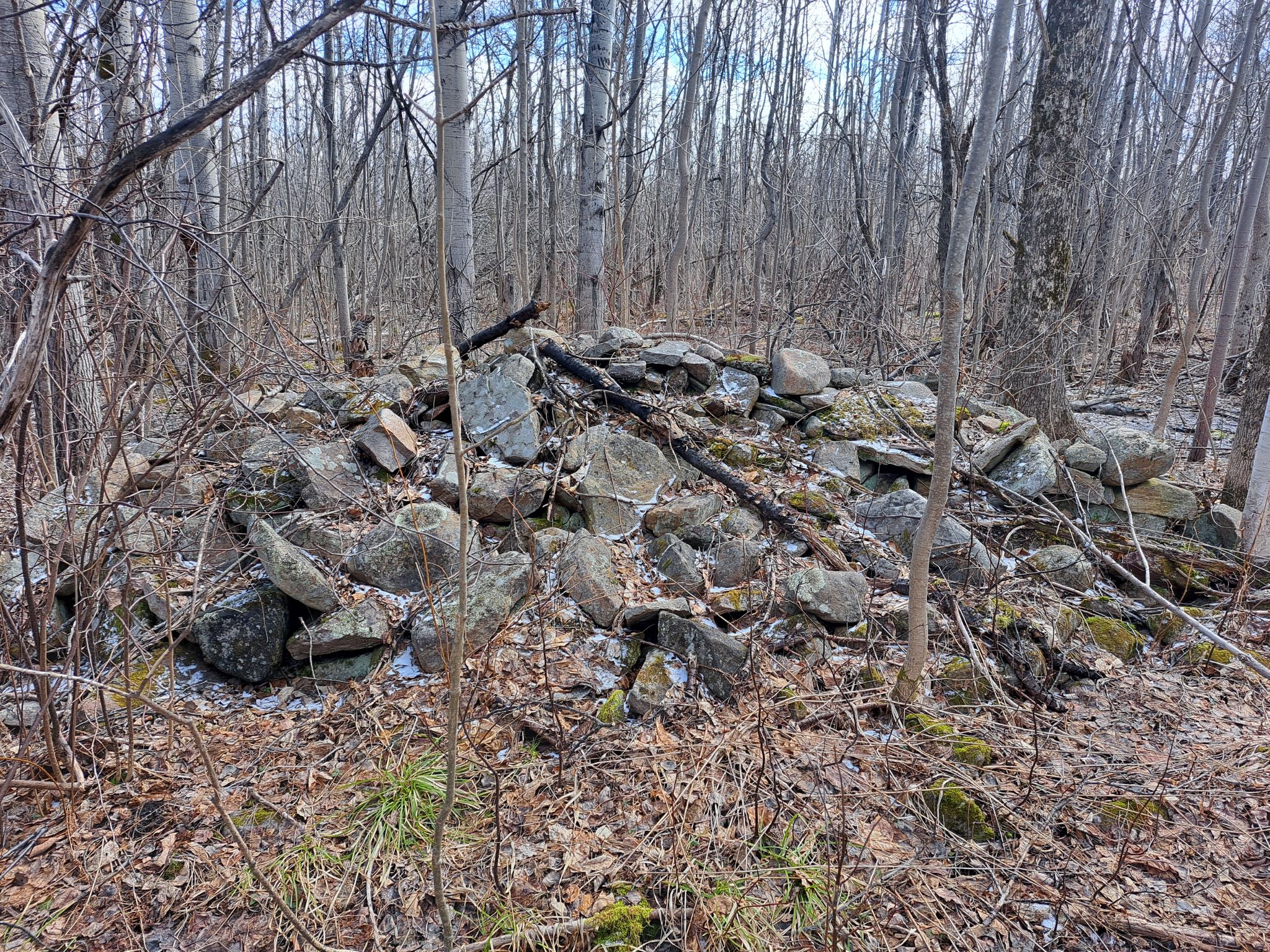 Listing Image 26