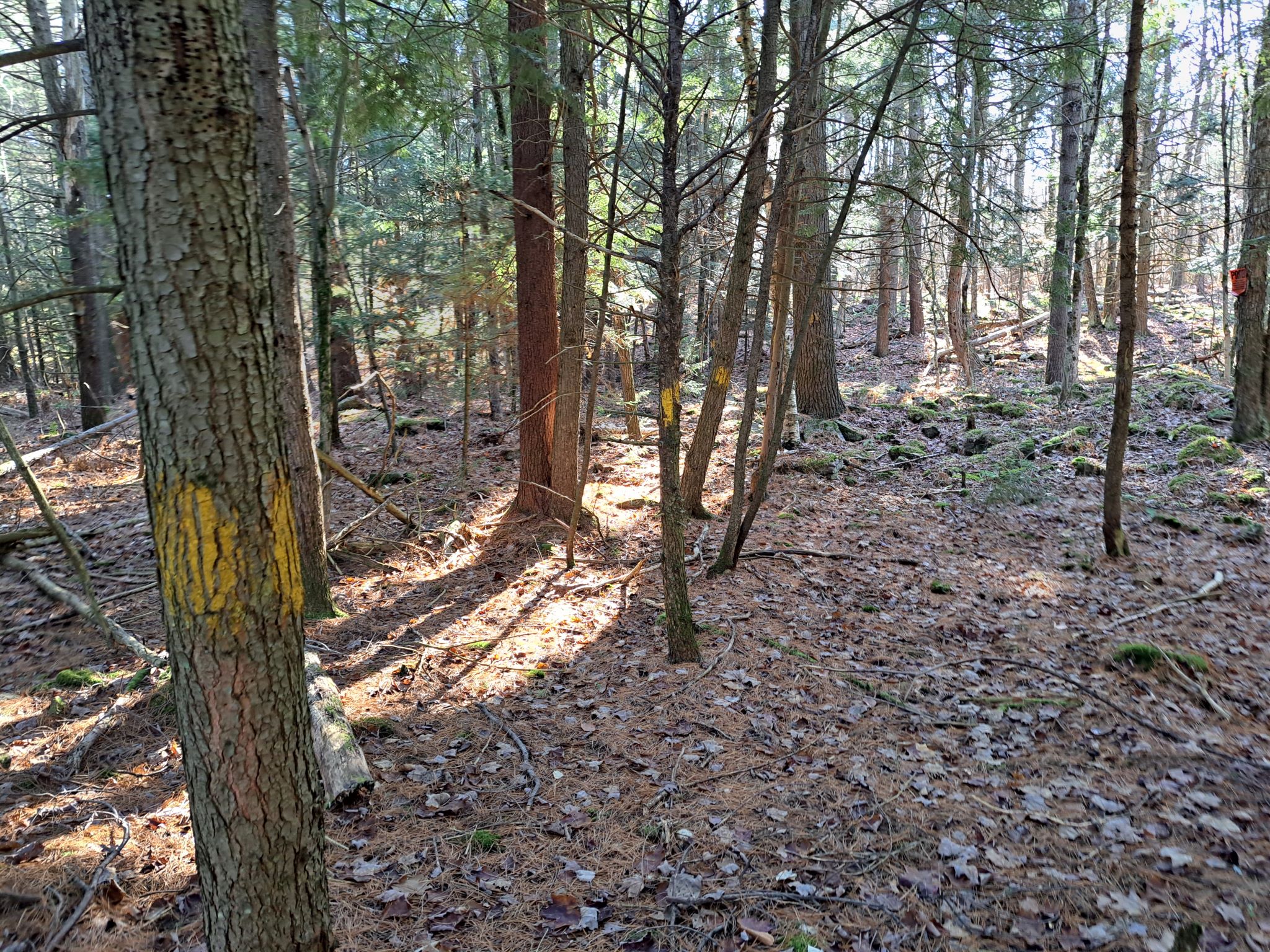 Listing Image 55
