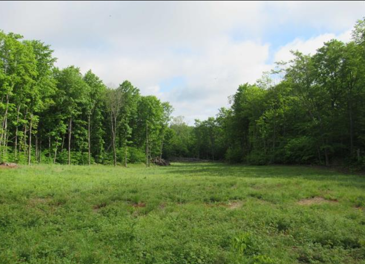 Listing Image 23
