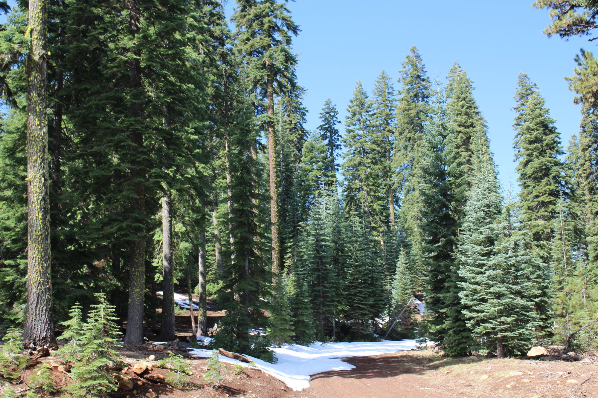 Keno Access Rd