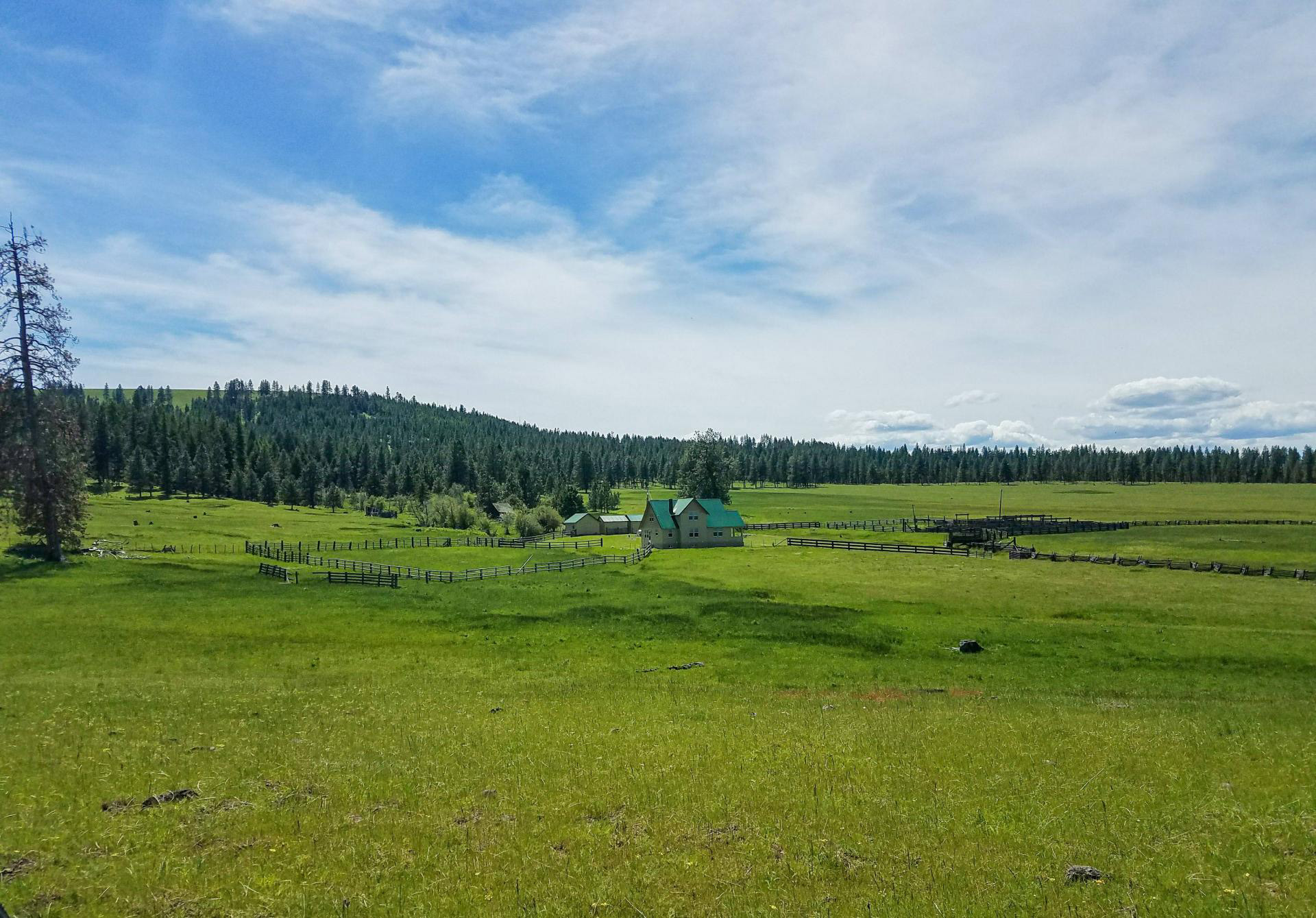 Listing Image 12