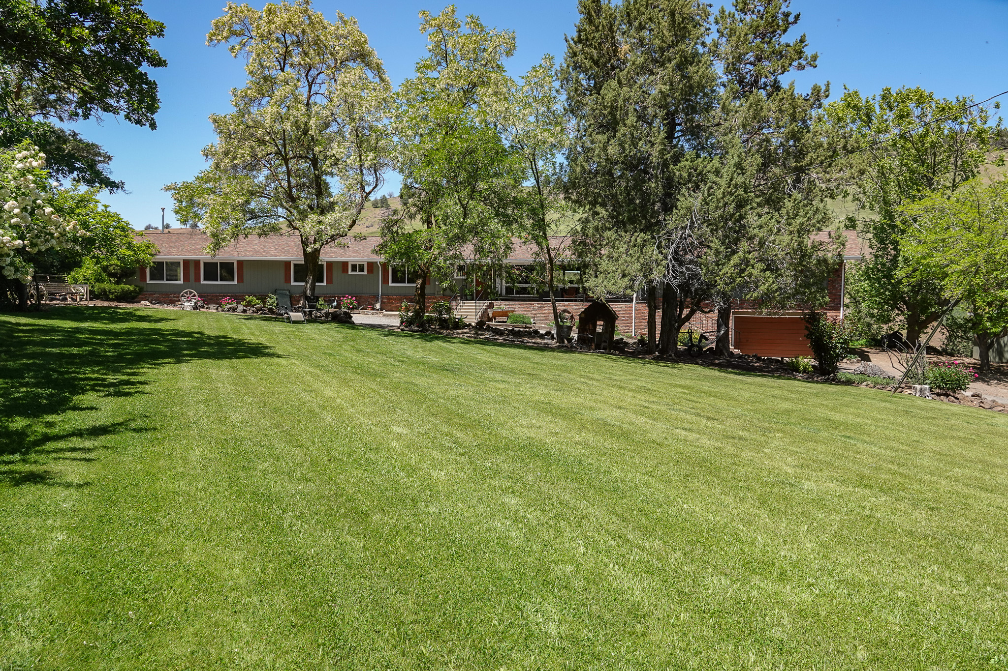MJ Ranch