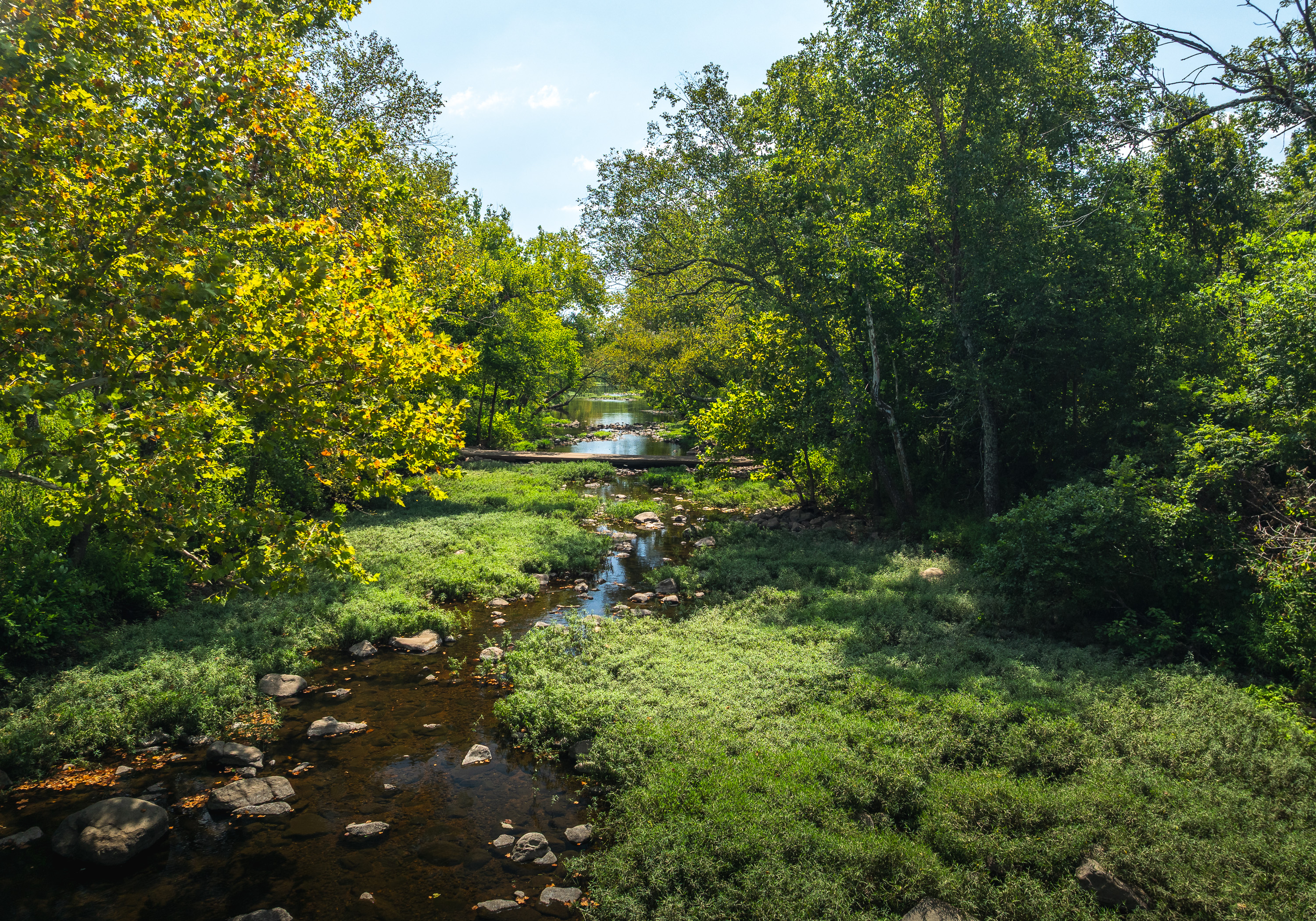 420 Acre Farm on Stouts Creek