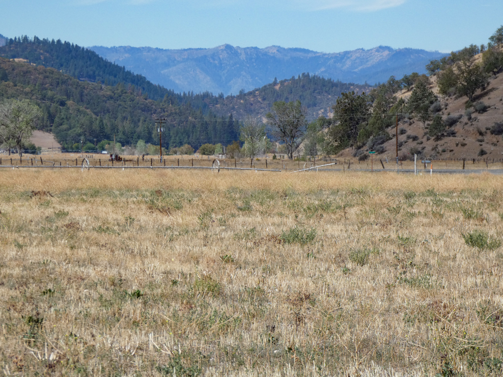 North Scott Valley acreage