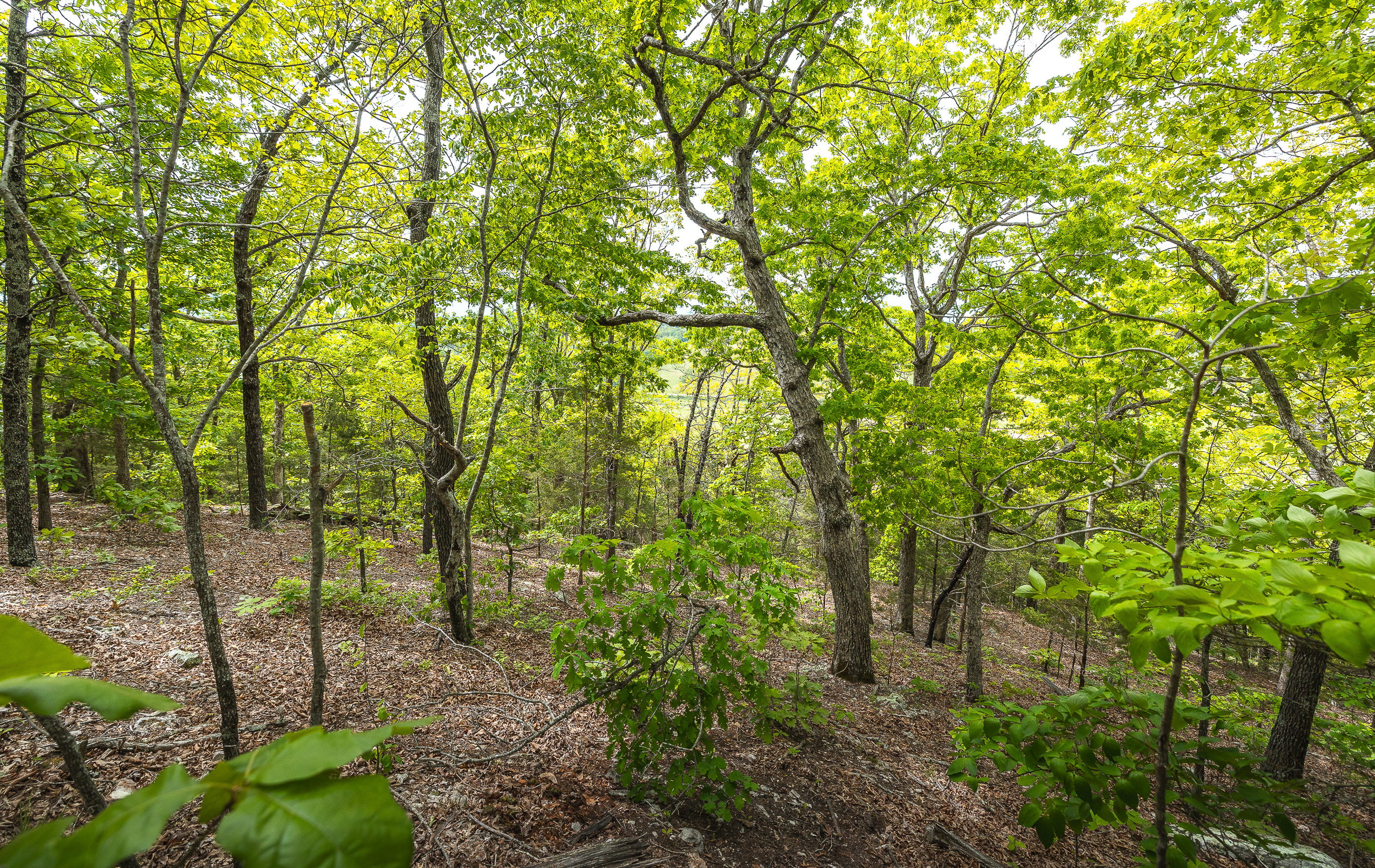 Waters Edge on the Gasconade River Tract 1