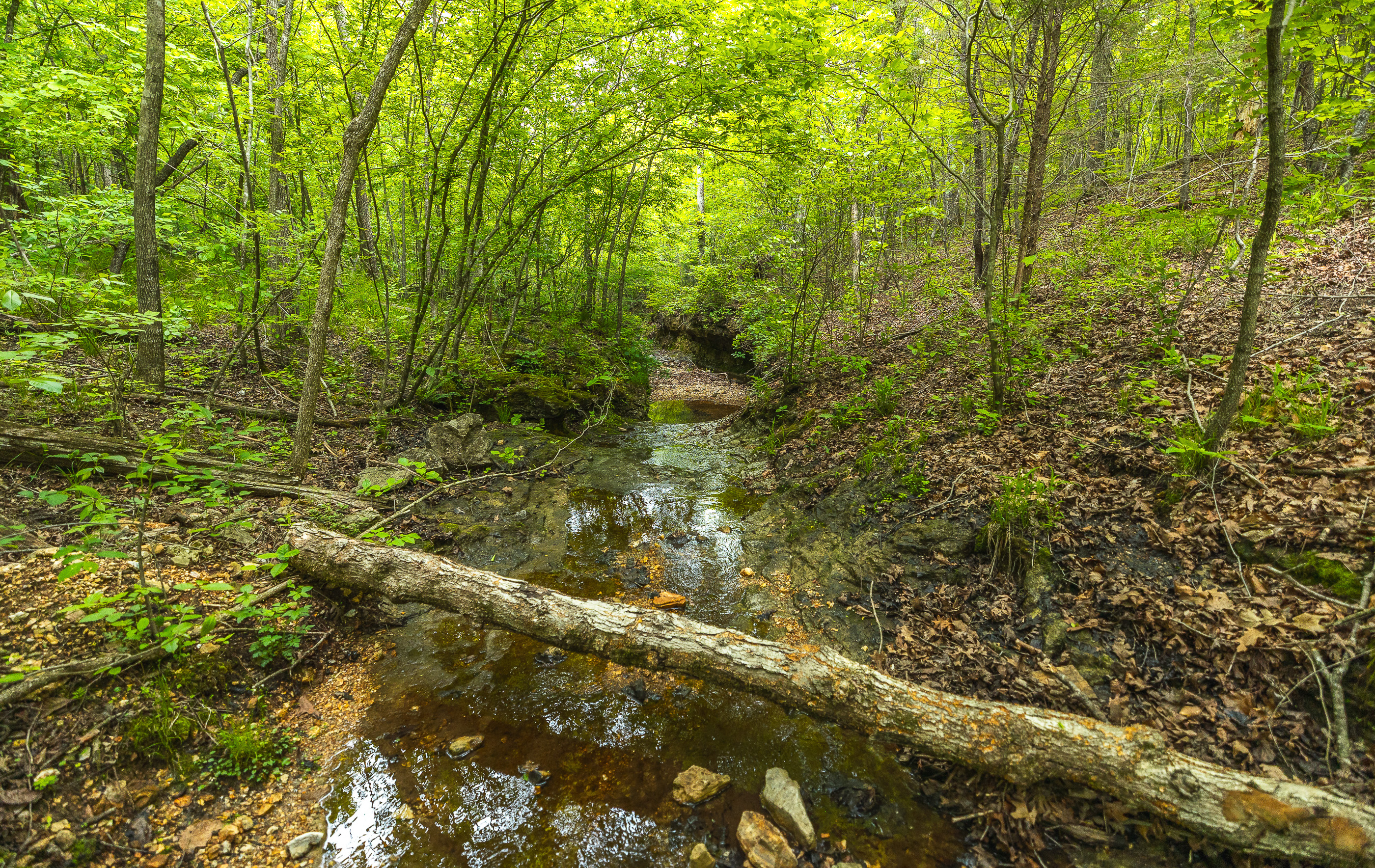 Waters Edge on the Gasconade River Tract 1