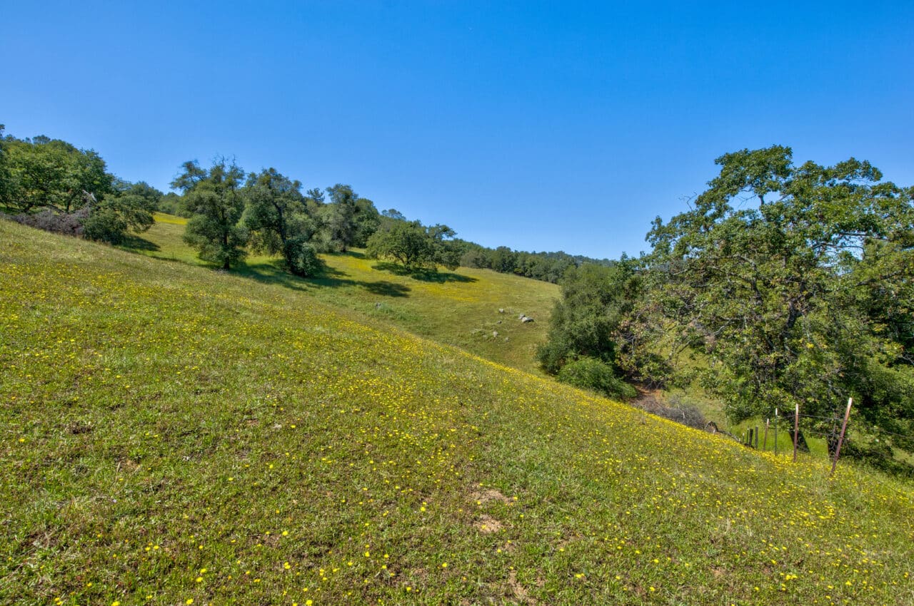 Listing Image 77