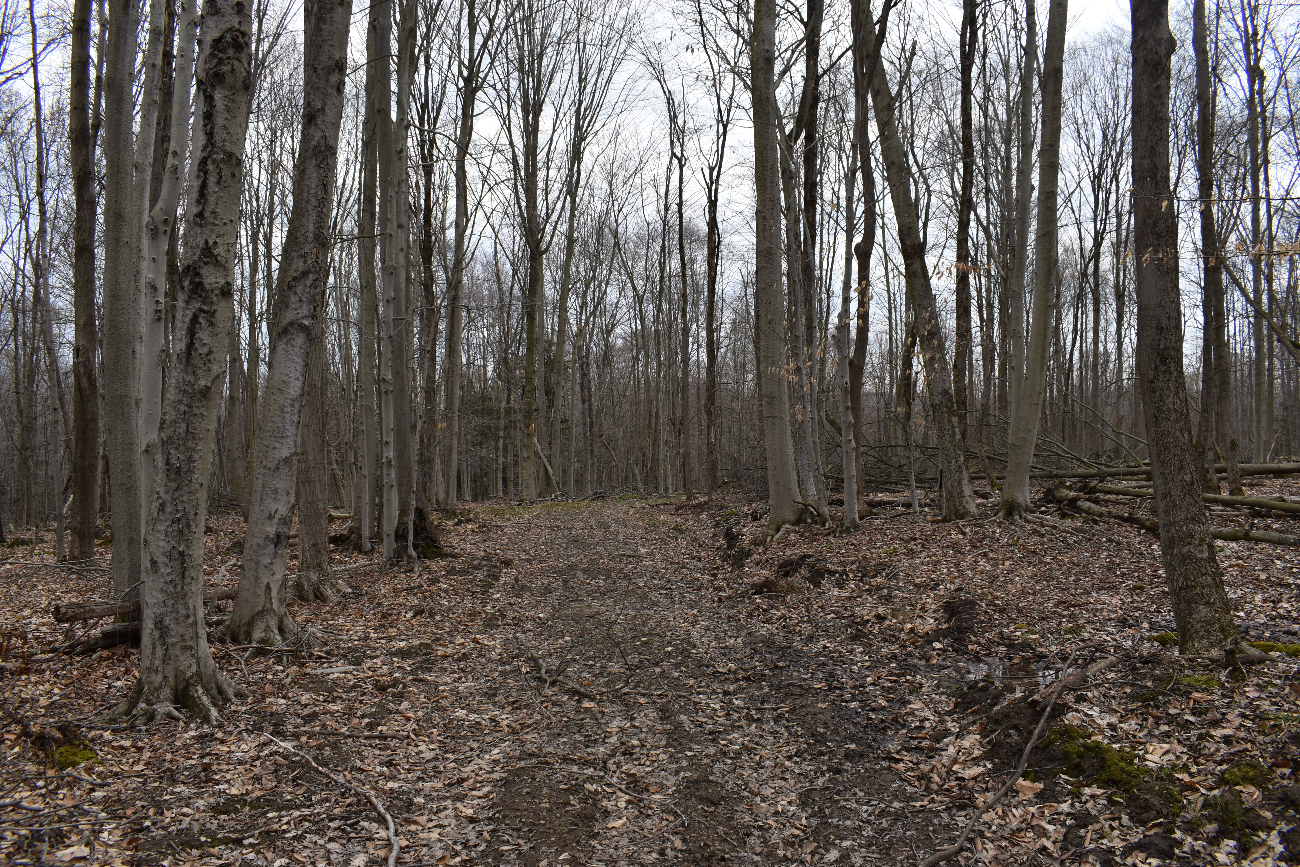 Hammond Hill Hideaway