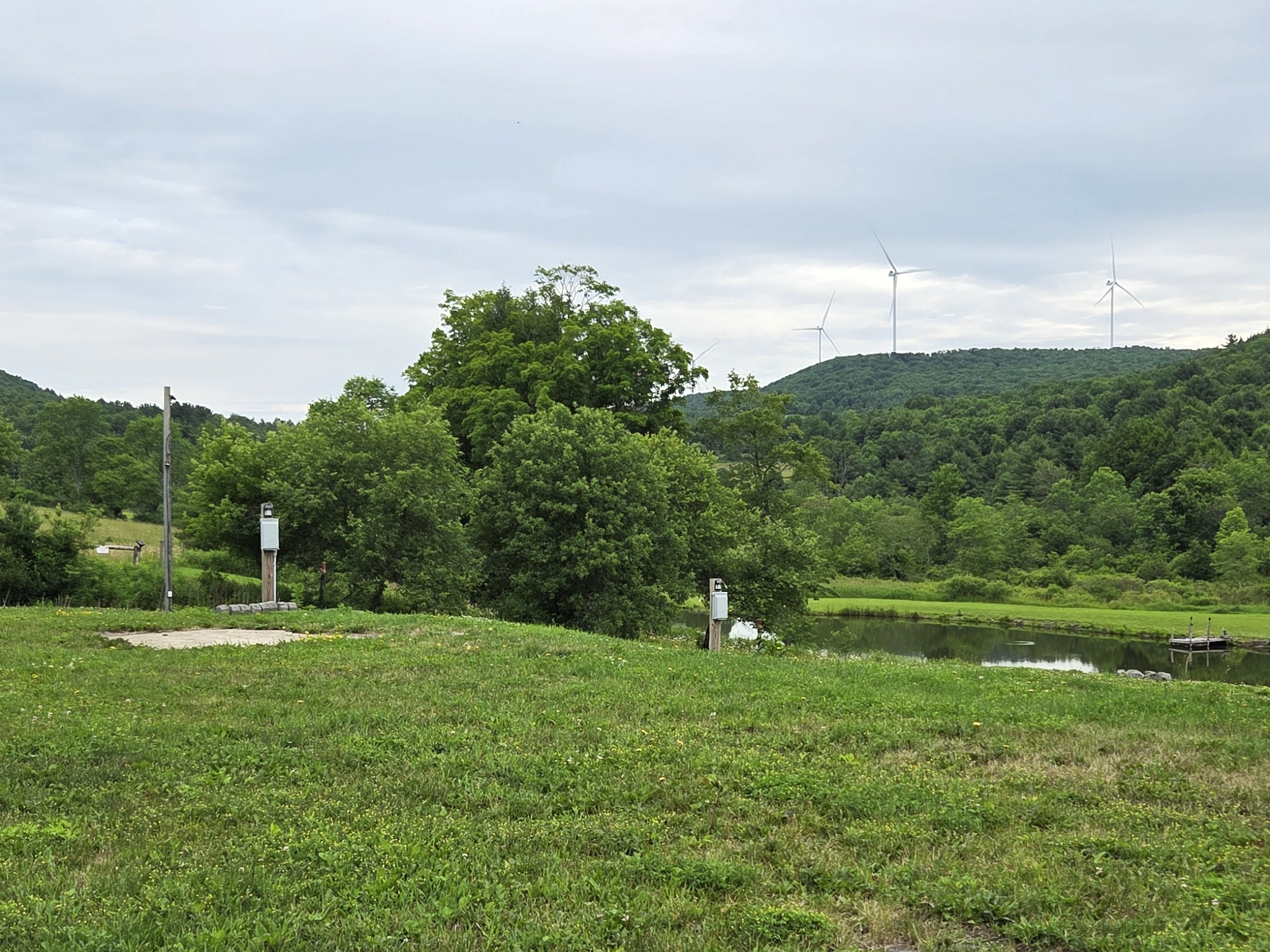 Listing Image 44